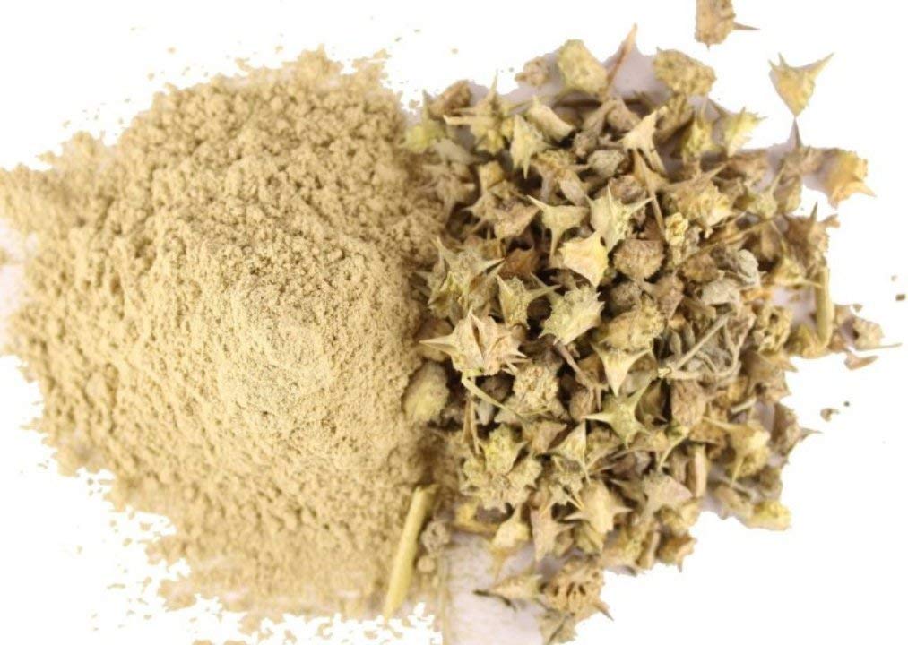 Tribulus Terrestris Powder (Gokhru/Gokshura) - 50g Natural Herbal Supplement for Energy, Vitality & Performance - Supports Men's Health, Workout Stamina & Ayurvedic Wellness - Perfect for Tea, Smoothies & Daily Wellness Routine