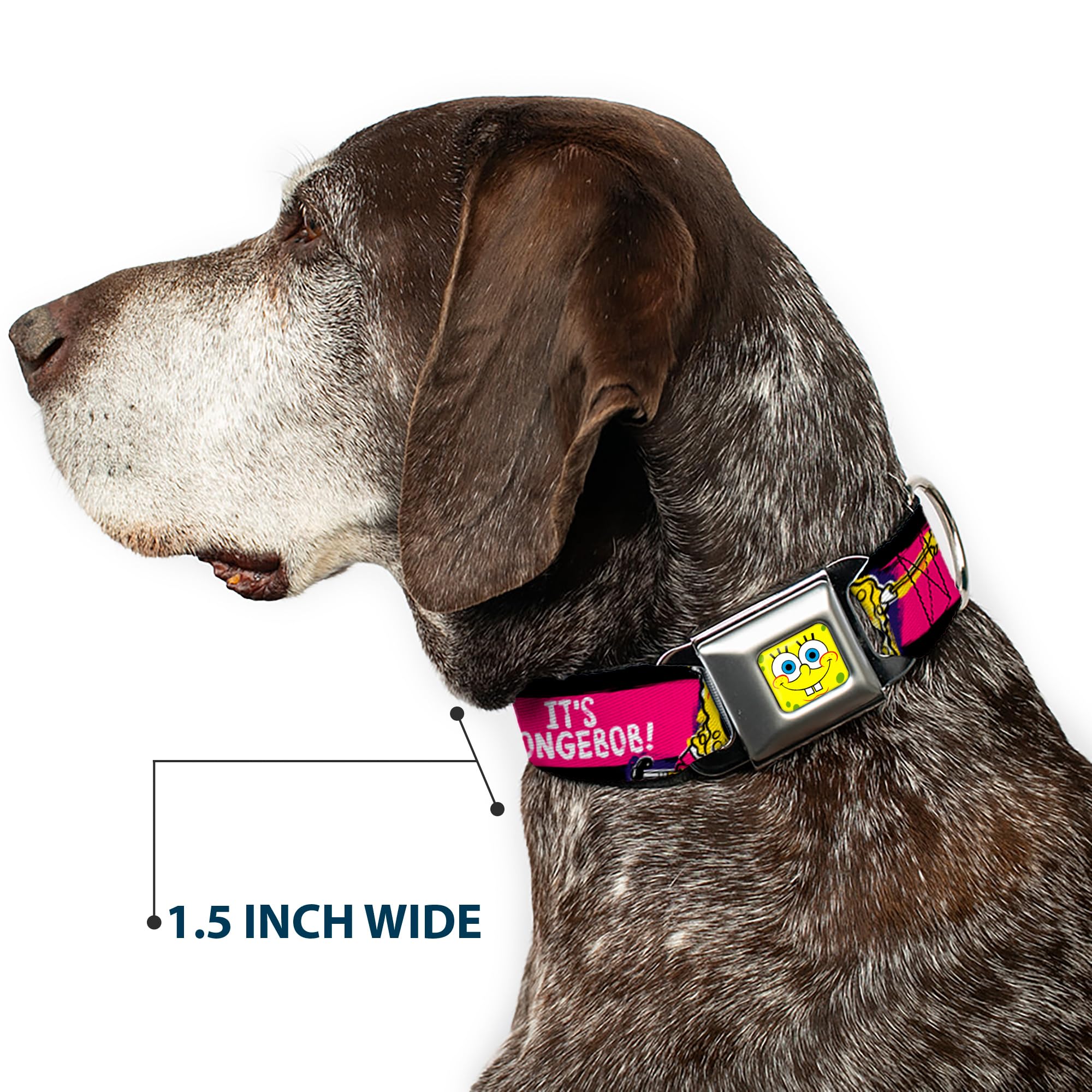 Spongebob Dog Collar with Seatbelt Buckle - 1.5 Inch Wide Adjustable Pet Collar (13-18 Inches) in Black, Pink, Blue & White - Perfect for Walking, Training & Car Safety