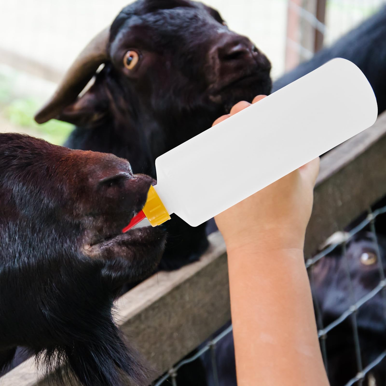 DOITOOL 5-Pack 400ml Baby Animal Feeding Bottles - Goat, Lamb, Puppy & Small Animal Milk Bottles for Newborns | Durable Plastic Pet Nursing Bottles for Farm Animals, Pets & Wildlife Care