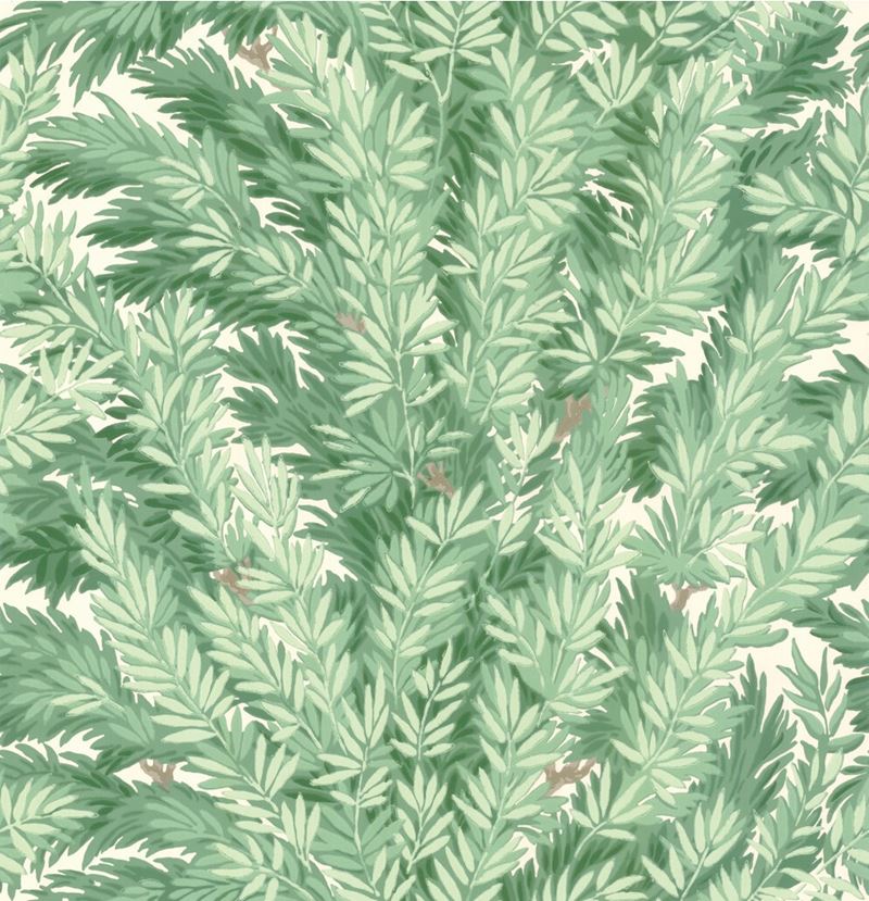 Florencecourt Cole & Son Wallpaper - Premium 100/1002 Design for Living Room, Bedroom & Home Decor | Elegant & Durable Wall Covering