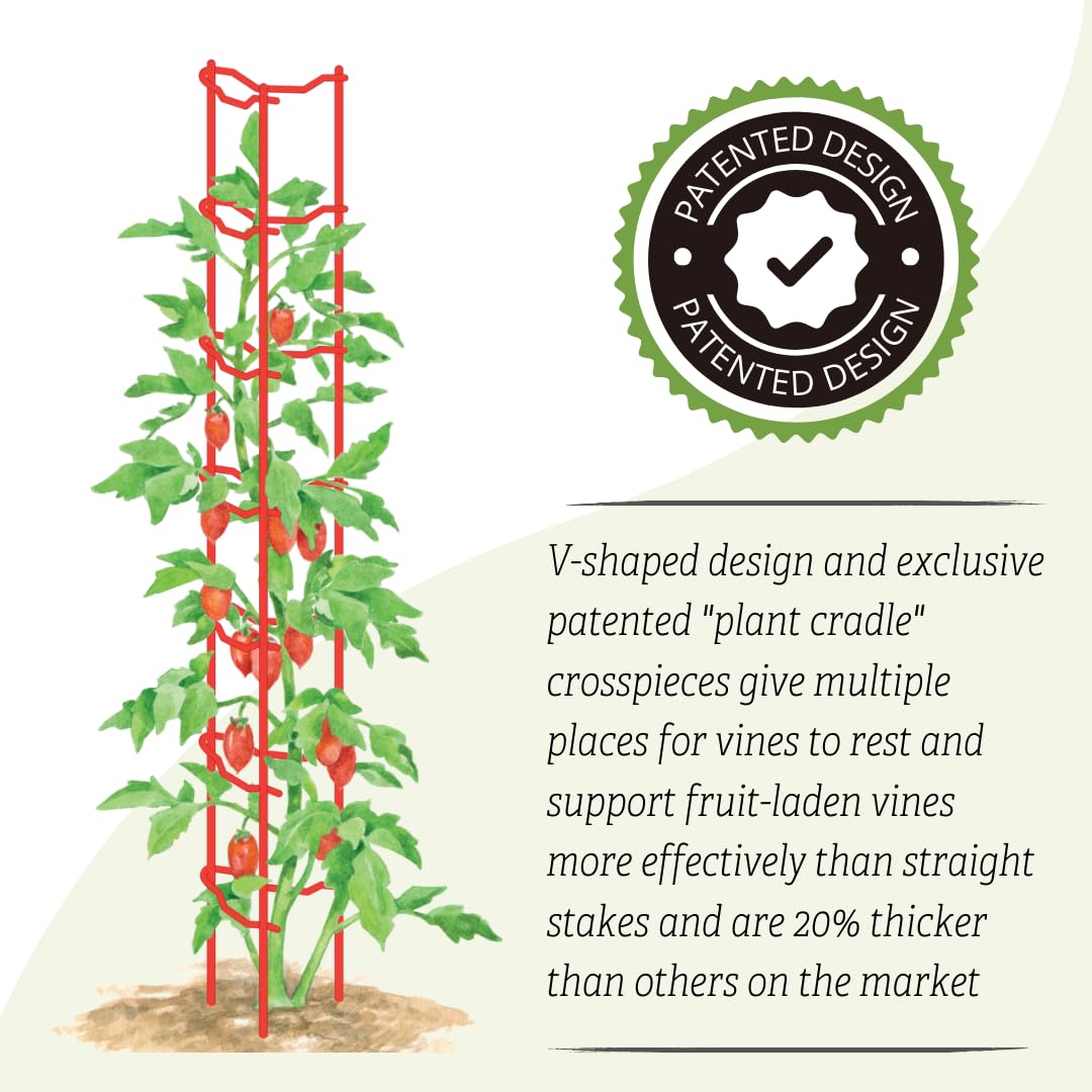 Sturdy Heavy Gauge Tomato Ladders for Garden Plants Support - Set of 3 | No Assembly Needed | Perfect for Tomatoes, Peppers & Climbing Vegetables | Ideal for Home Gardens, Greenhouses & Raised Beds