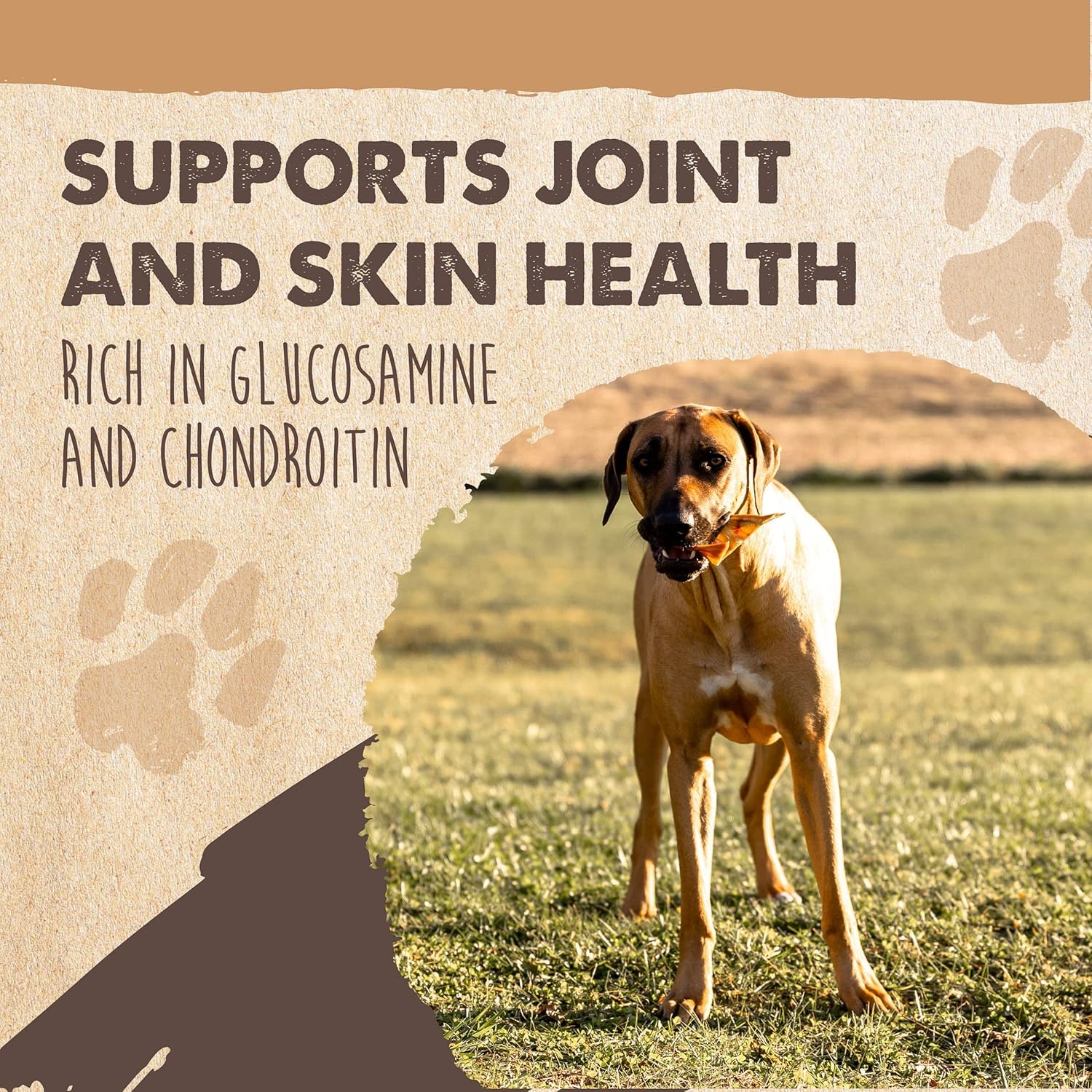 **Mighty Paw Half Pig Ears for Dogs - All Natural, Single Ingredient Dog Treats | Healthy Alternative to Rawhide Chews for Small, Medium & Large Dogs | Long-Lasting Dental Chews for Puppies & Adult Dogs (6lb) - Perfect for Training, Teething & Anxiety Relief**