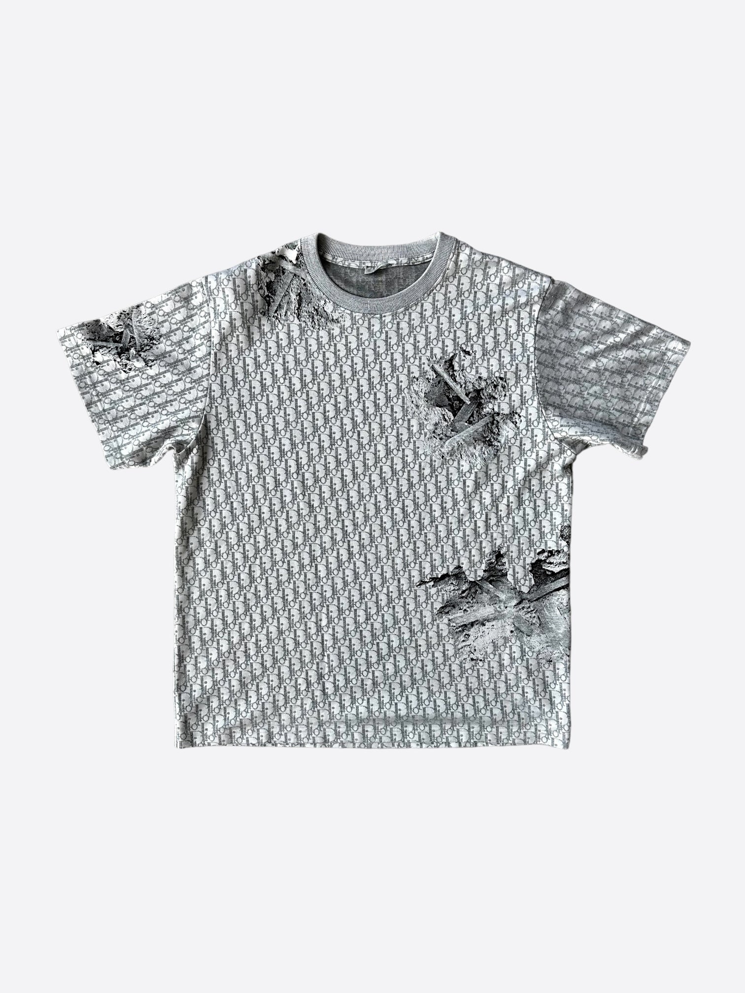 Dior Daniel Arsham Grey Oblique T-Shirt | Limited Edition Designer Tee for Men | Perfect for Streetwear & Luxury Fashion Outfits