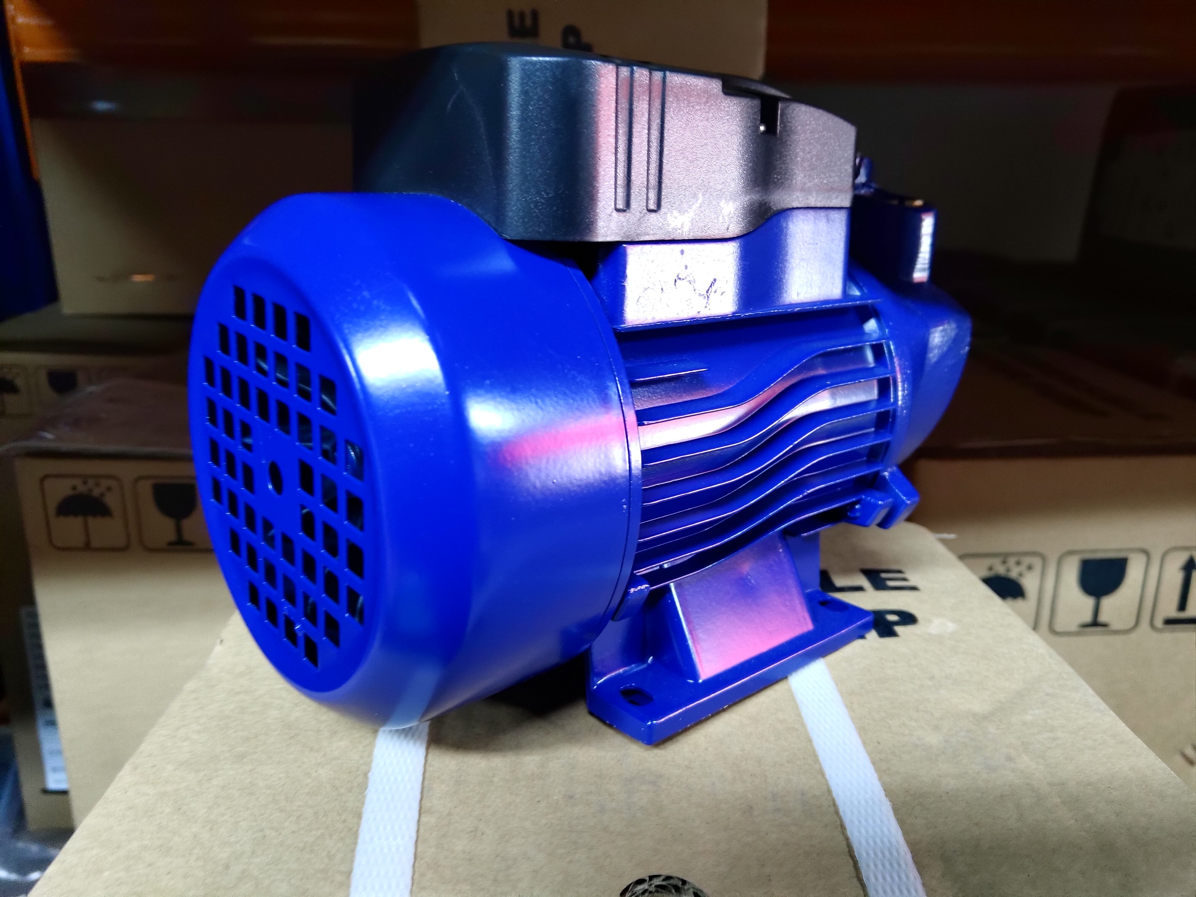 AIKO 1x1 0.5HP 240V Centrifugal Water Pump | High Efficiency Water Transfer | Model WP A PKM60 | Ideal for Irrigation, Pool Circulation & Industrial Applications