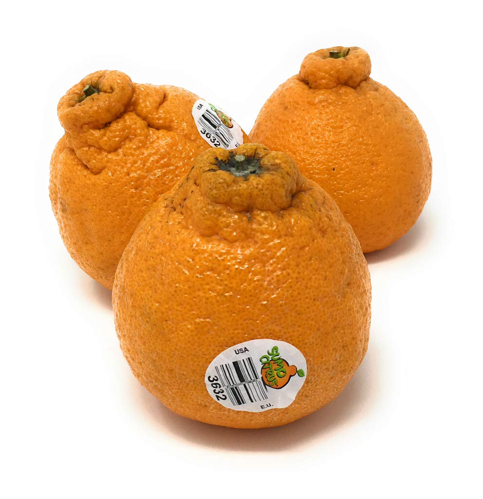 Fresh Dekopon Citrus Box - 48oz Premium Japanese Mandarin Oranges | Perfect for Healthy Snacks, Gift Baskets & Fruit Platters