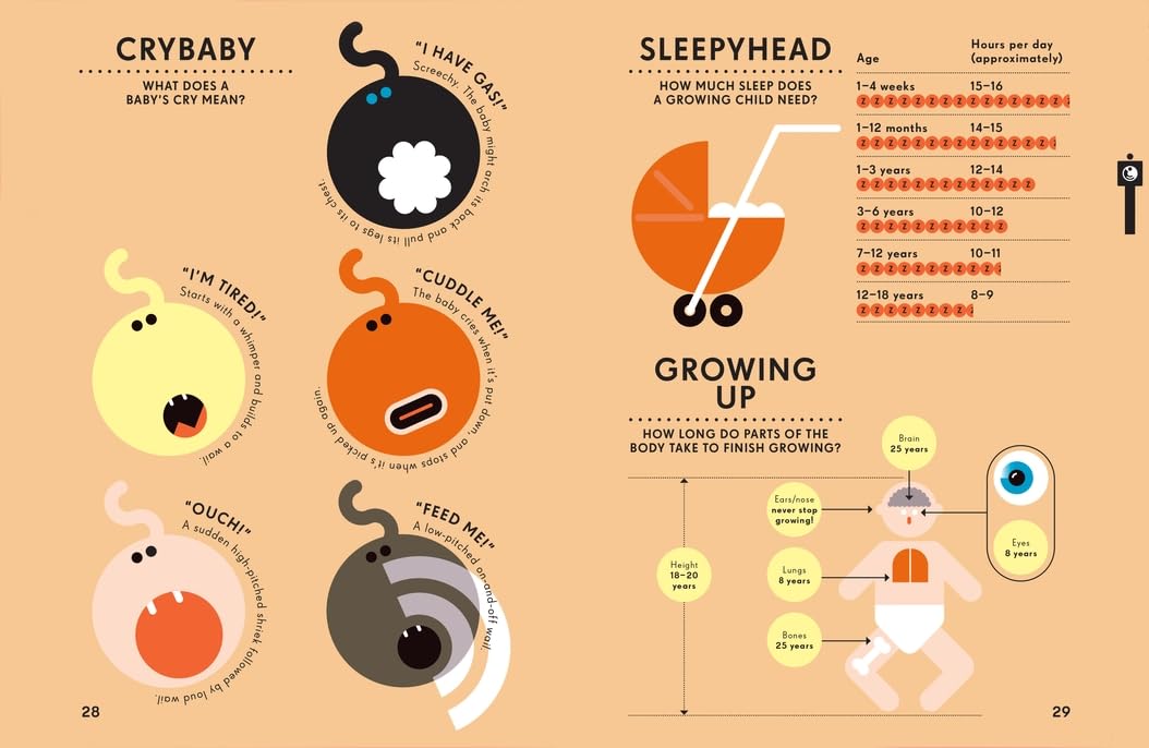 Information Graphics: Human Body - Visual Guide to Anatomy & Physiology | Educational Charts for Students & Medical Professionals | Perfect for Classrooms, Study, and Healthcare Settings