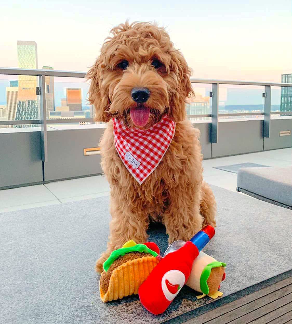 TONBO Cute Food Plush Dog Toys - Soft & Durable Taco Tuesday Combo for Small & Medium Dogs - Perfect for Chewing, Cuddling & Playtime at Home or Outdoors