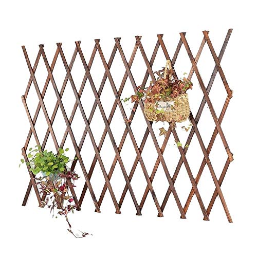 JHZWHJ Heavy Duty Outdoor Climbing Plant Trellis - 120x28cm Garden Fence for Flowers, Vines & Courtyard Partition | Rustproof Decorative Plant Support for Backyard, Patio & Landscape Design