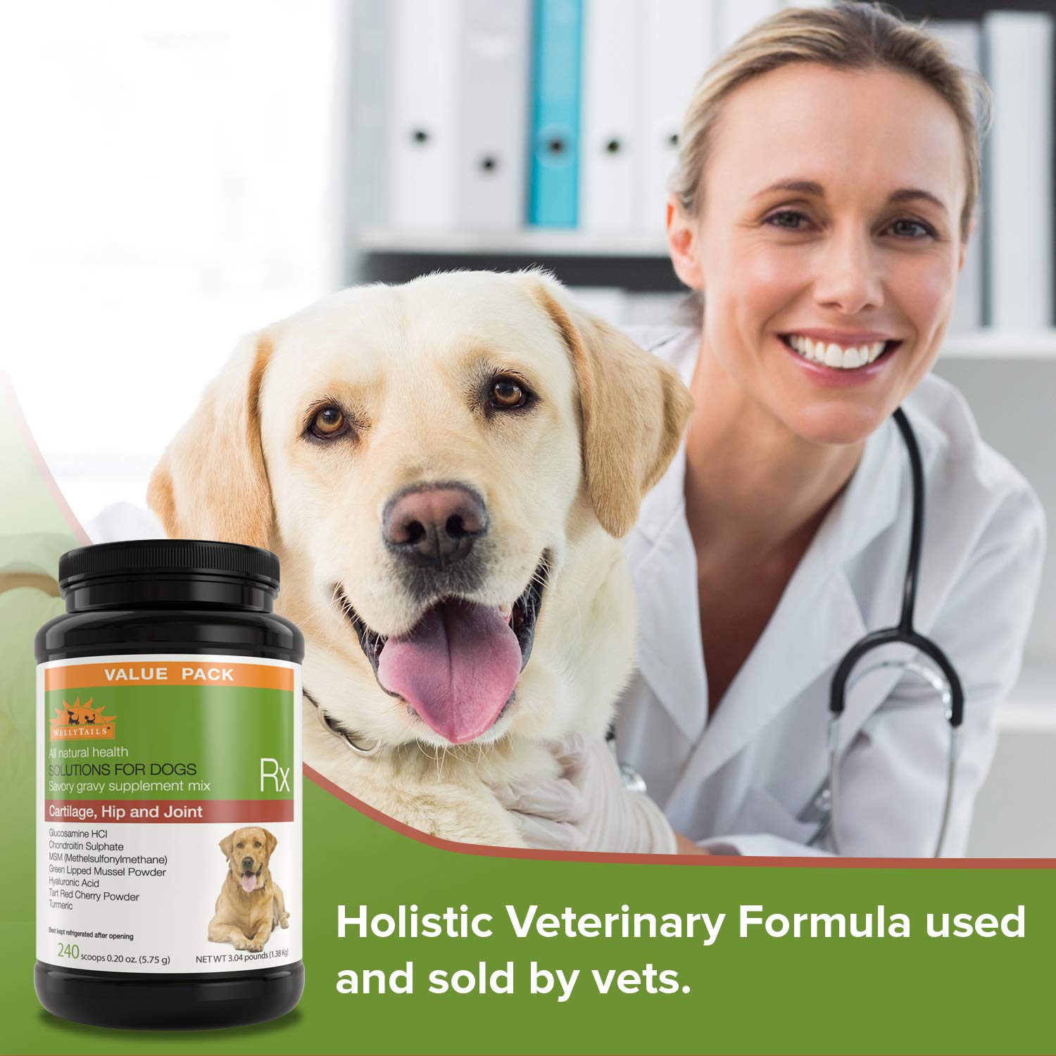 Premium Glucosamine Chondroitin MSM & Turmeric Joint Supplement for Large Dogs - 48.8oz (240 Scoops) - Supports Hip & Joint Health for Senior & Active Dogs - Ideal for Mobility & Arthritis Relief