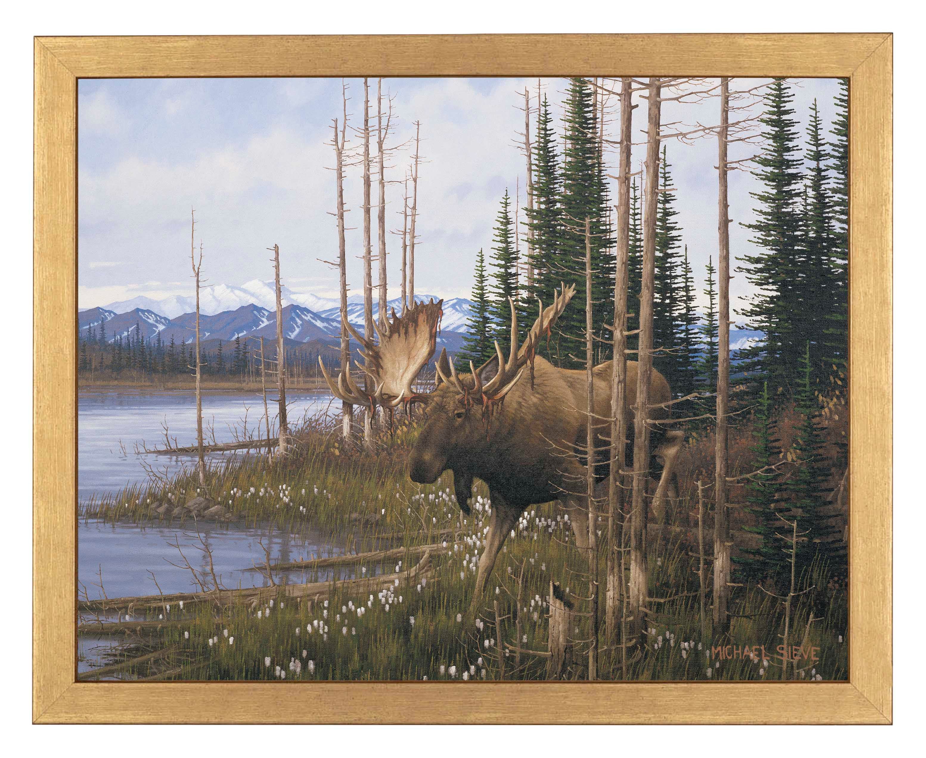 Premium Cotton Grass Meadow Moose Wall Art Print - Nature Wildlife Decor for Living Room, Bedroom & Office