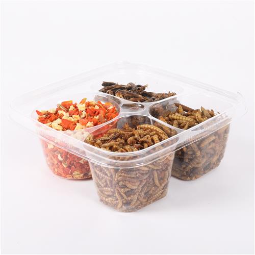 Premium Hedgehog Treat Sampler - Healthy Snacks for Pet Hedgehogs - Assorted Flavors for Small Animals - Perfect for Bonding & Training Treats