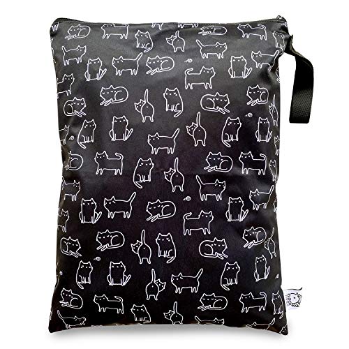 Black Cats
