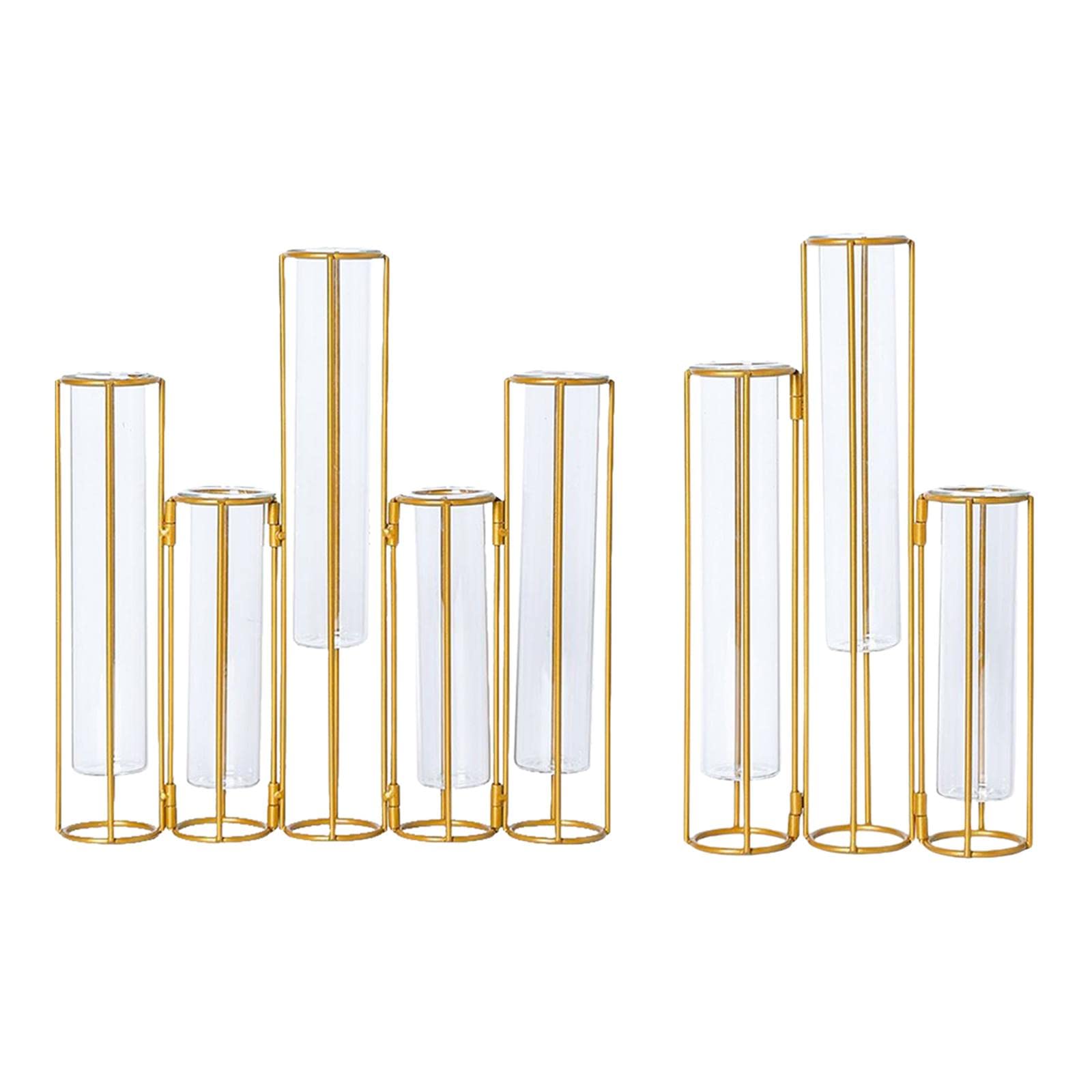 D DOLITY 2-Pack Glass Test Tube Vases - Elegant Flower Pots & Plant Terrariums for Hydroponics, Succulents, Air Plants - Perfect for Home Decor, Office Desk, Wedding Centerpieces