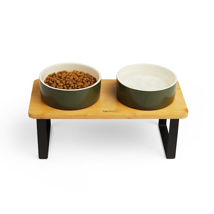 Reddy Green Elevated Double Diner Dog Bowl - 3.75 Cups (30 oz) for Medium/Large Dogs - Anti-Slip Raised Feeder with Stainless Steel Bowls - Perfect for Dining Room or Kitchen Use