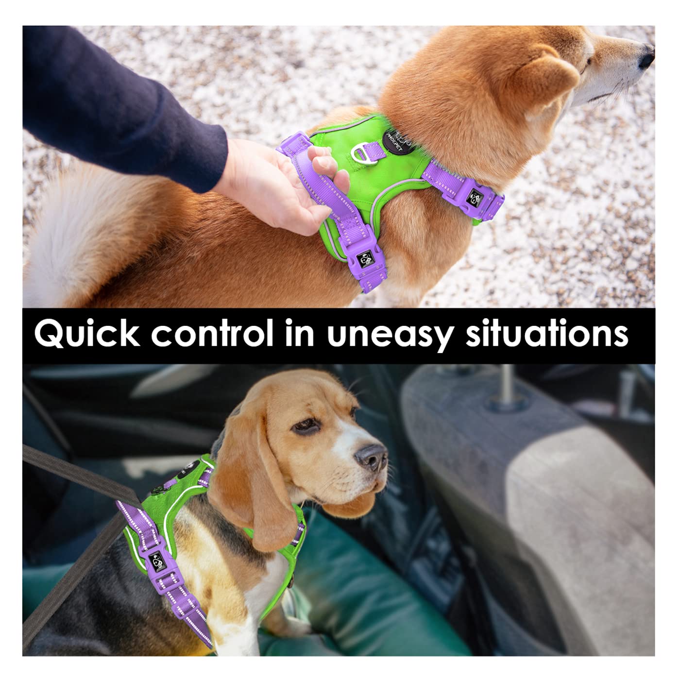 PHOEPET No Pull Dog Harness - Reflective Adjustable Vest with Soft Training Handle & Metal Clips for Small, Medium, Large Dogs (Green Base & Purple Straps, Size S) - Perfect for Walking, Training, and Nighttime Safety