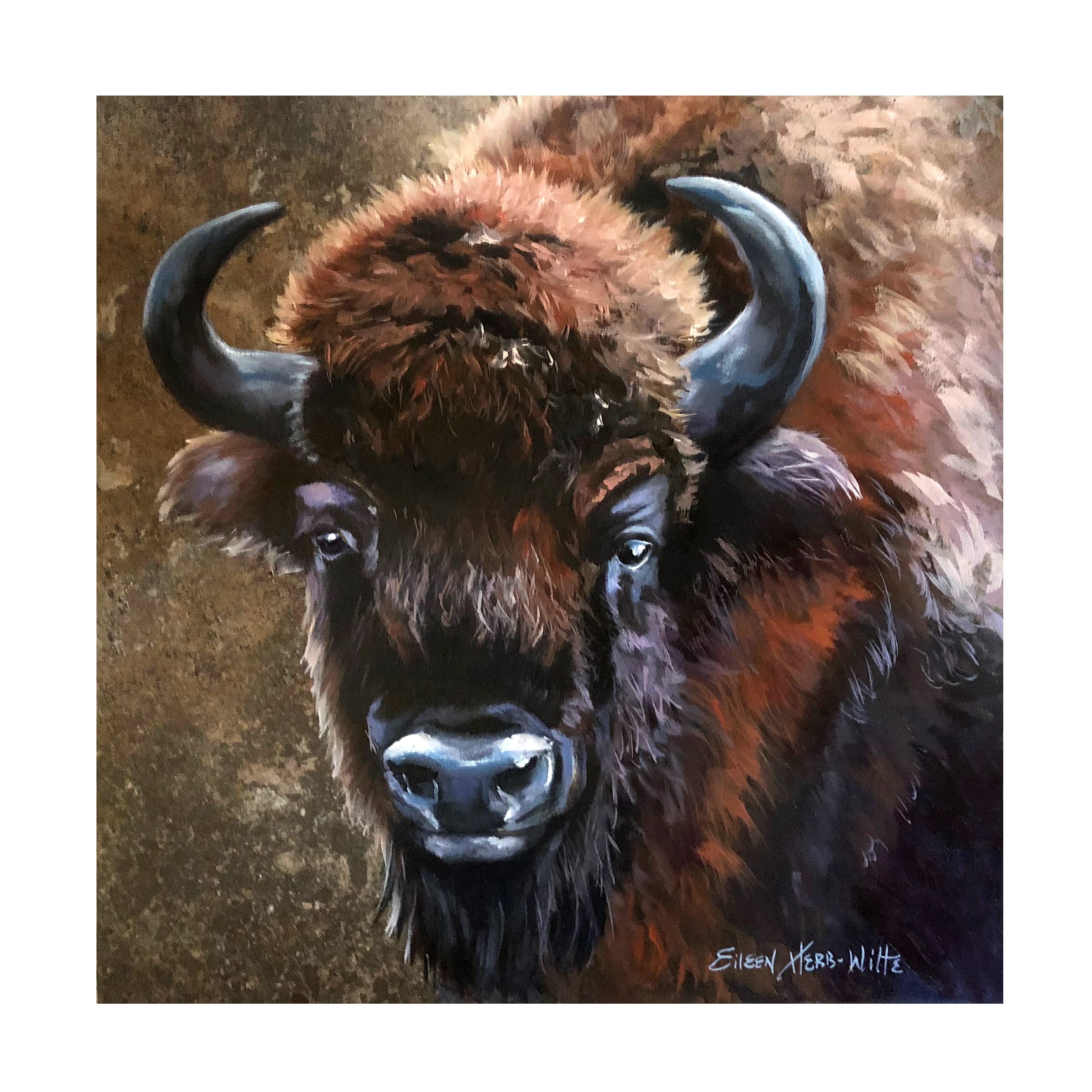 Buffalo Bob Canvas Art by Eileen Herb-Witte - Premium Trademark Fine Art Wall Decor for Living Room, Bedroom & Office