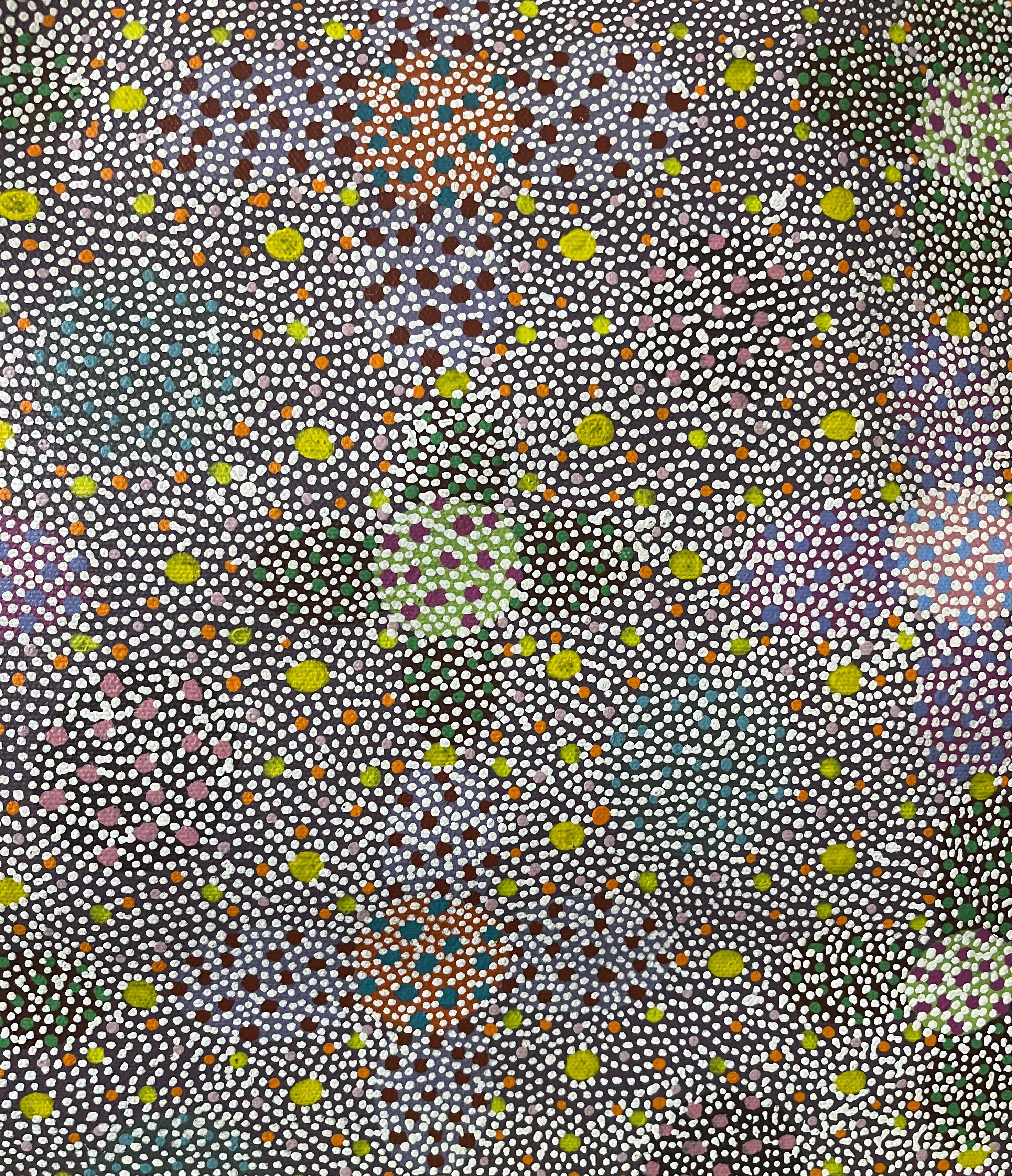 Lily Lion Kngwarreye - Authentic Aboriginal Art Canvas Print | Indigenous Australian Wall Decor for Home & Office | Perfect for Living Room, Bedroom or Gallery Display