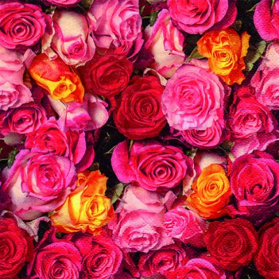 Colorful Roses Floral Lunch Napkins - 20 Pack | Elegant Table Setting for Parties, Weddings & Daily Dining