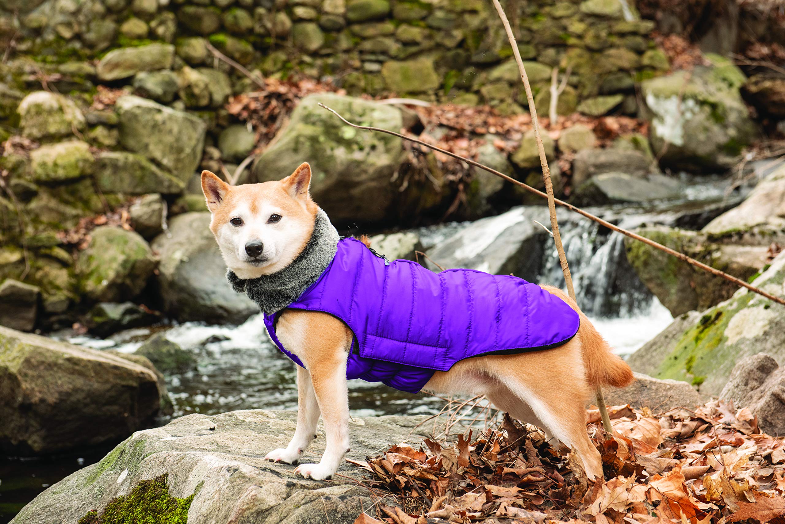 Dog Gone Smart Hemlock Puffy Dog Jacket - Waterproof Winter Coat for Small Dogs, Indigo Blue, Size 16