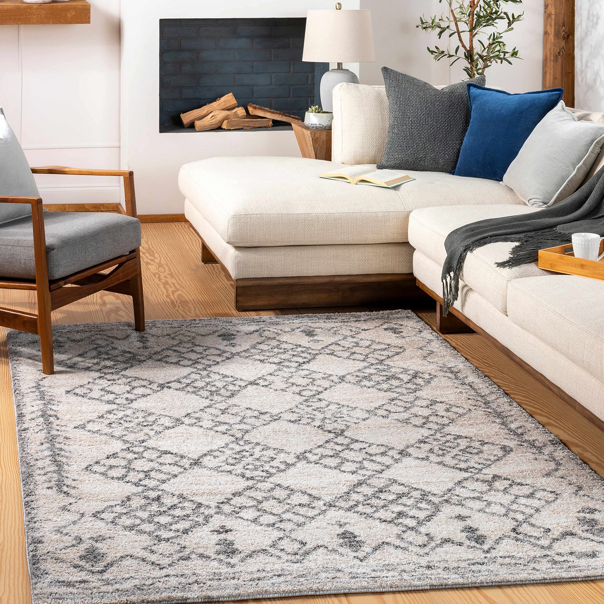 Hauteloom Soft Plush High Pile Area Rug for Living Room & Bedroom - 2' x 3' Gray Beige Shaggy Carpet - Cozy Home Decor for Modern Spaces, Dorm, Nursery & Office