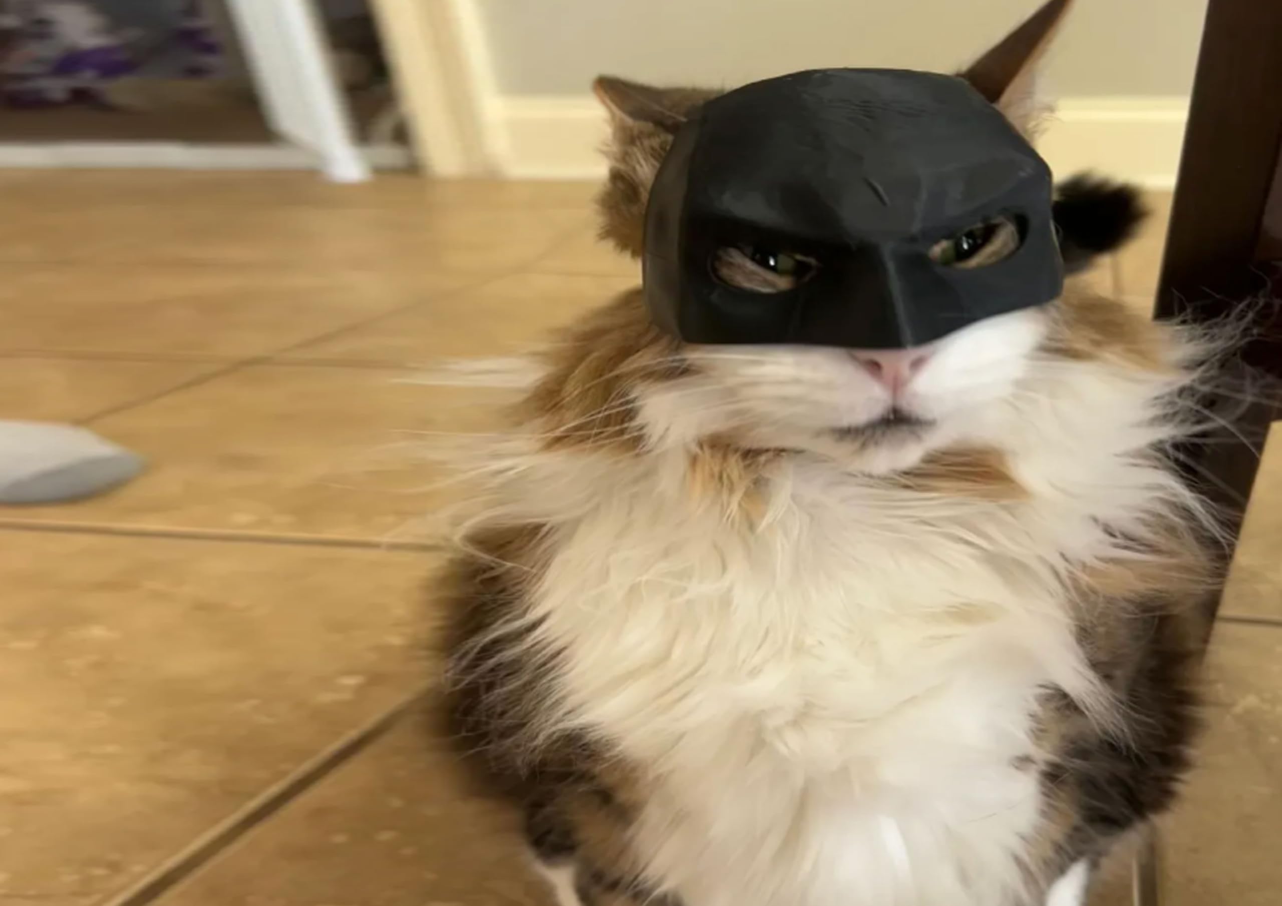 Handmade Cat Bat Cosplay Hat & Mask - Halloween Pet Costume Accessory for Cats, Perfect for Halloween Parties & Cosplay Events