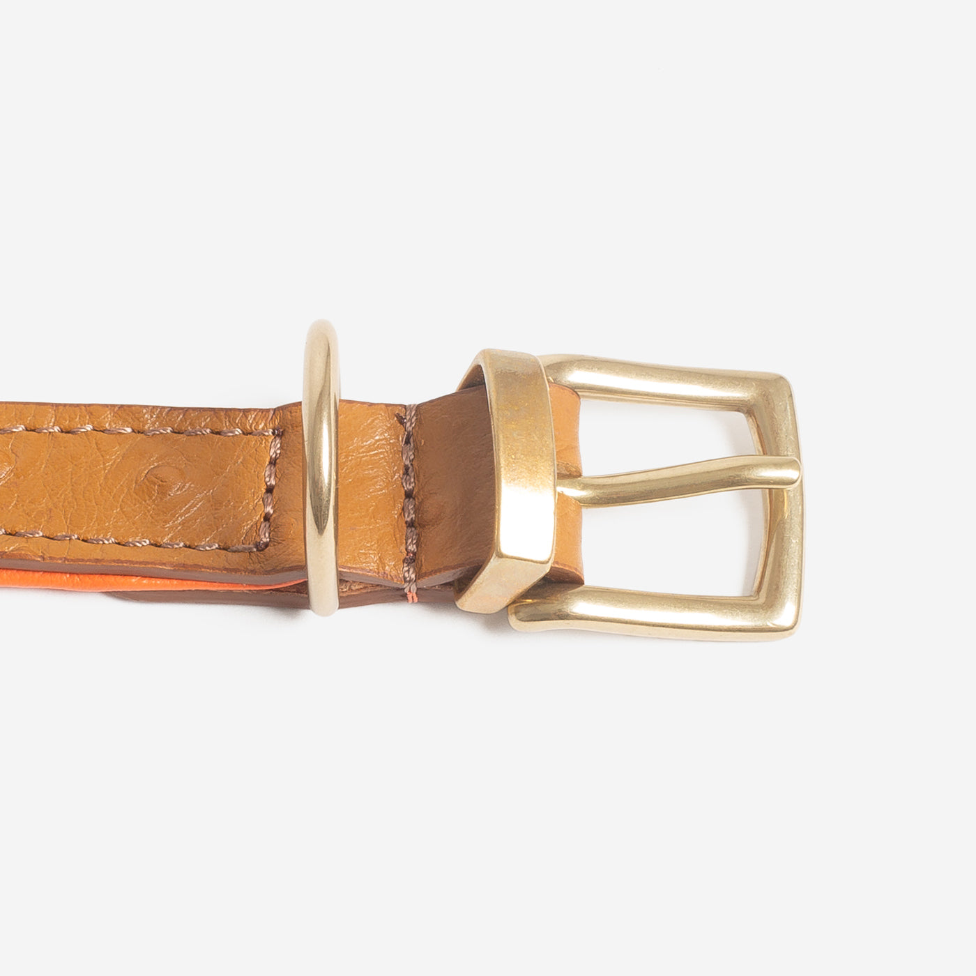 Premium Ostrich Leather Dog Collar - Tan & Orange - Handcrafted Luxury Pet Accessory by Lords & Labradors - Perfect for Daily Walks, Training & Stylish Outings