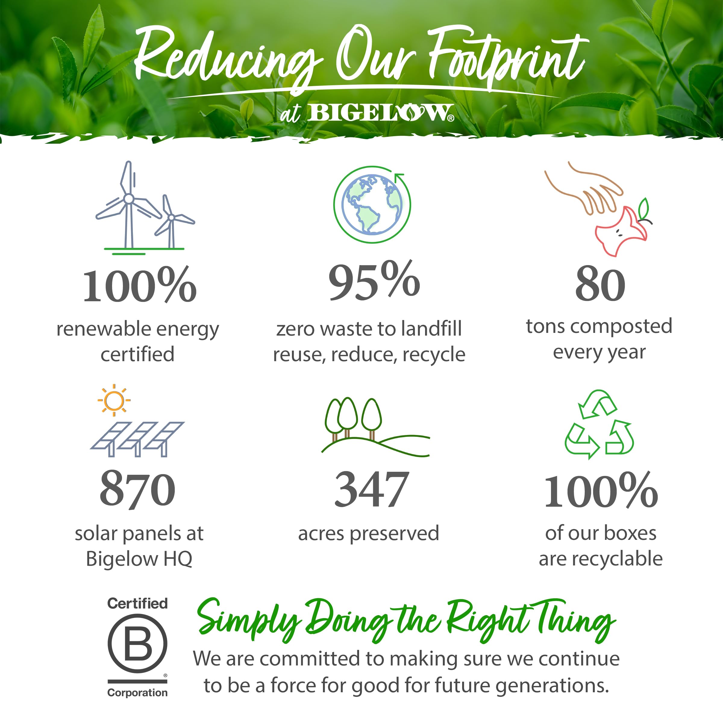 Bigelow Green Tea with Pomegranate - 20 Tea Bags | Antioxidant Rich, Caffeine Free Herbal Tea for Relaxation & Wellness | Perfect for Morning Boost or Evening Unwind