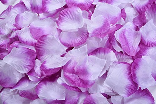 Purple and White