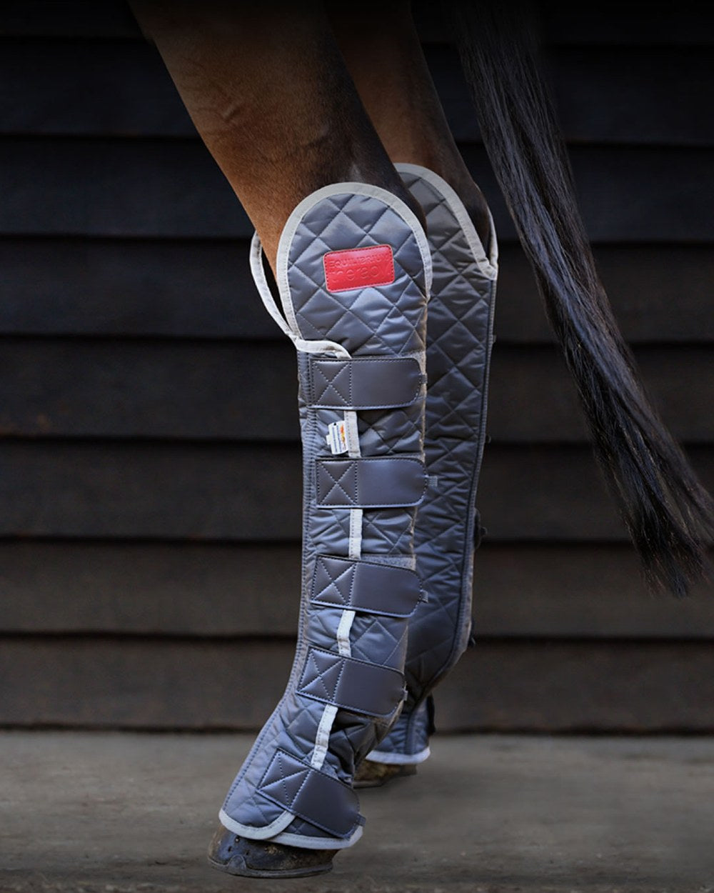 Equilibrium Magnetic Hind & Hock Chaps for Horses - Therapeutic Support & Injury Recovery - Perfect for Training, Riding & Post-Exercise Recovery