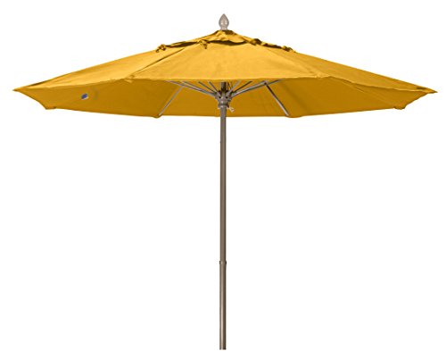 Dandelion with Champagne Bronze Pole