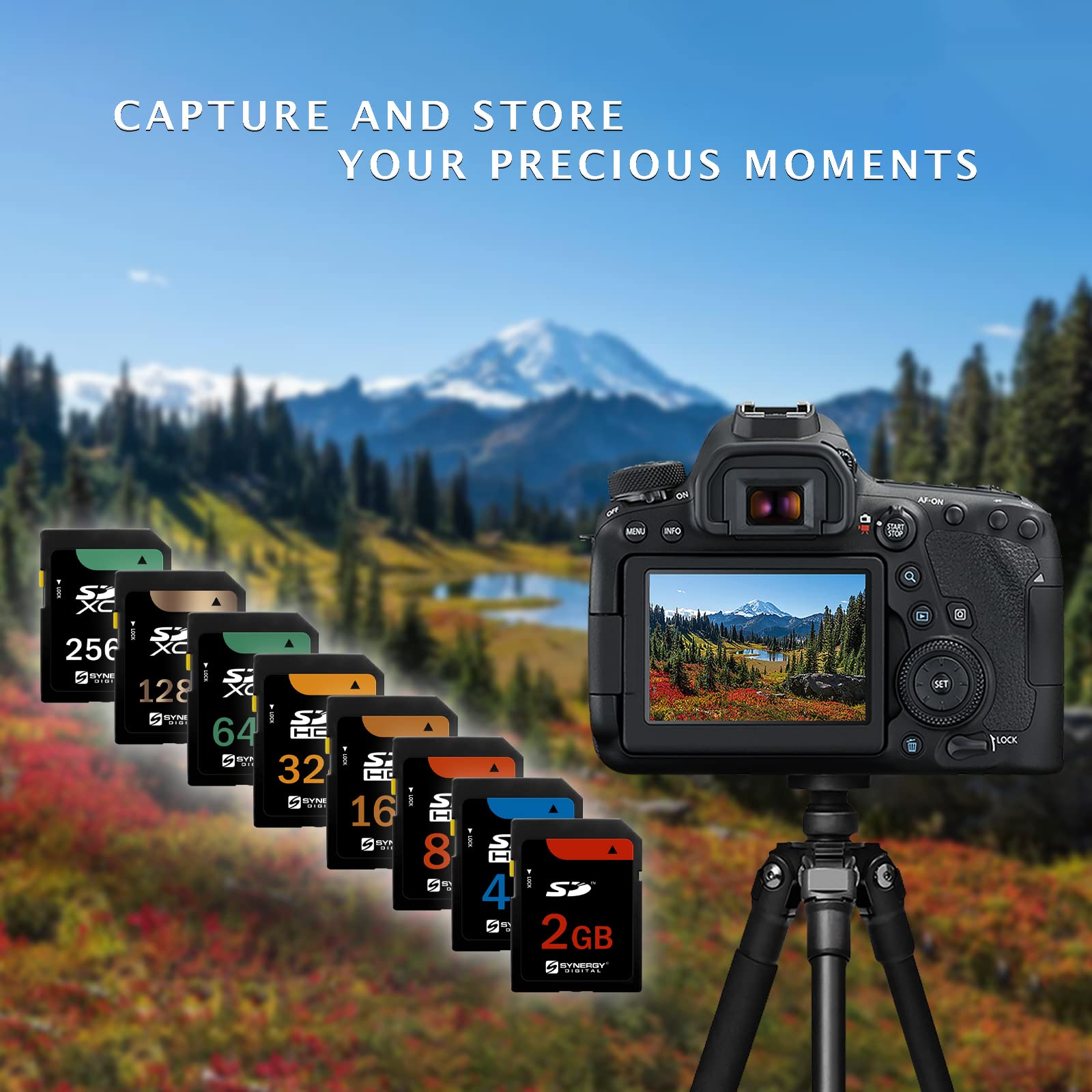 Panasonic Lumix TS3 8GB SDHC Card - Waterproof Camera Memory for Outdoor Photography