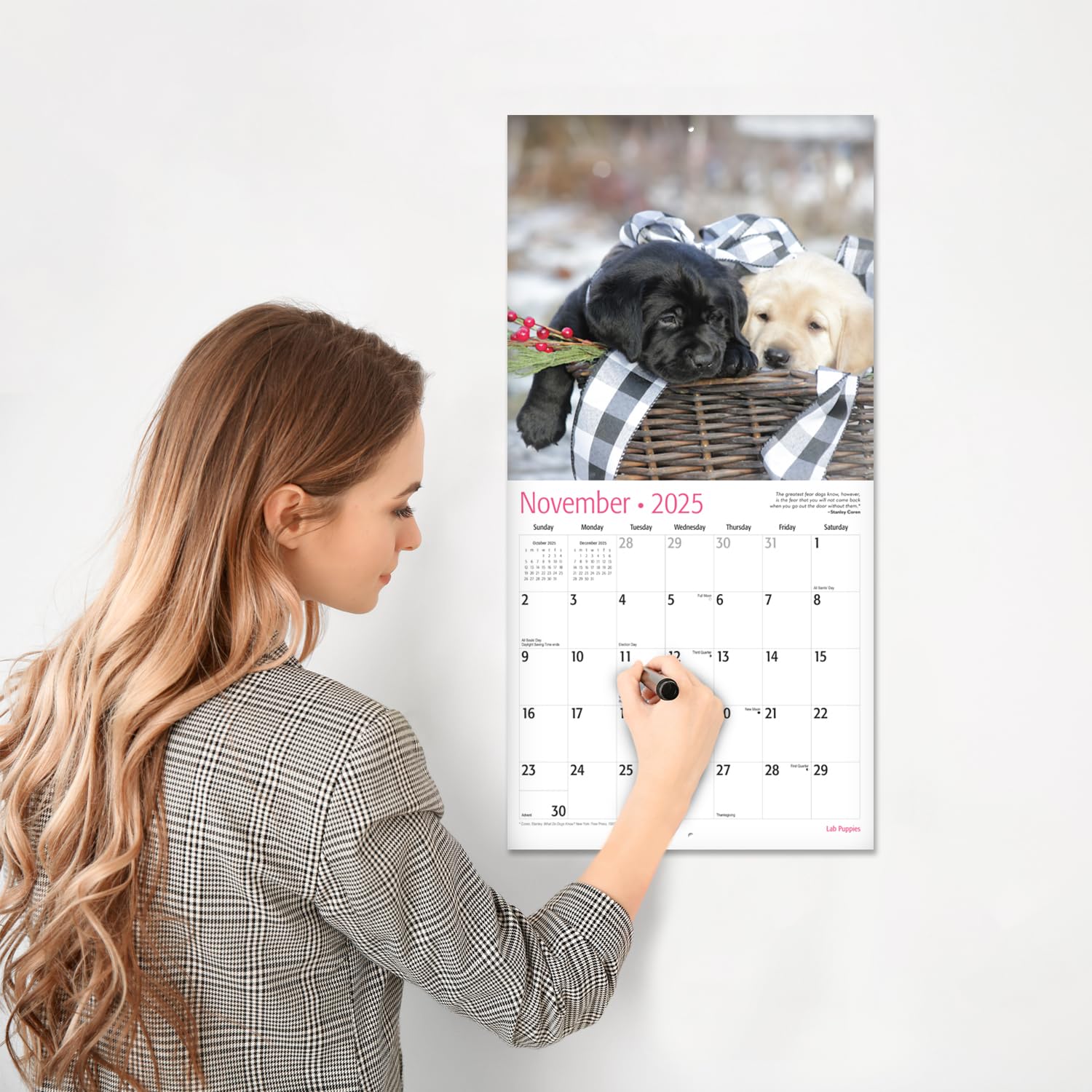 RED EMBER Lab Puppies 2025 Wall Calendar - 12 Month Large Format (12x24 Inches) with Thick Sturdy Paper - Perfect Gift for Dog Lovers - Ideal for Home, Office, or Classroom Decoration