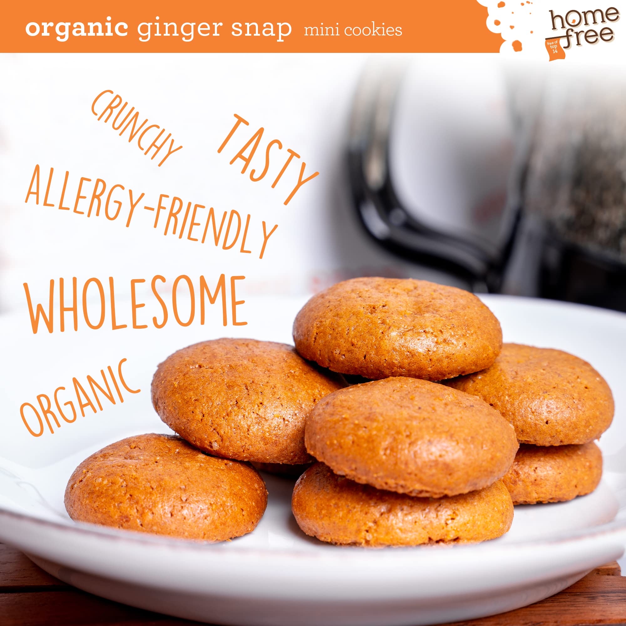 Organic Mini Ginger Snap Cookies - Gluten Free, Nut Free, Vegan, School Safe Snack - Individually Wrapped 0.95 oz Packs (64 Count) - Perfect for Lunchboxes, Allergy-Friendly Treats & On-the-Go Snacking