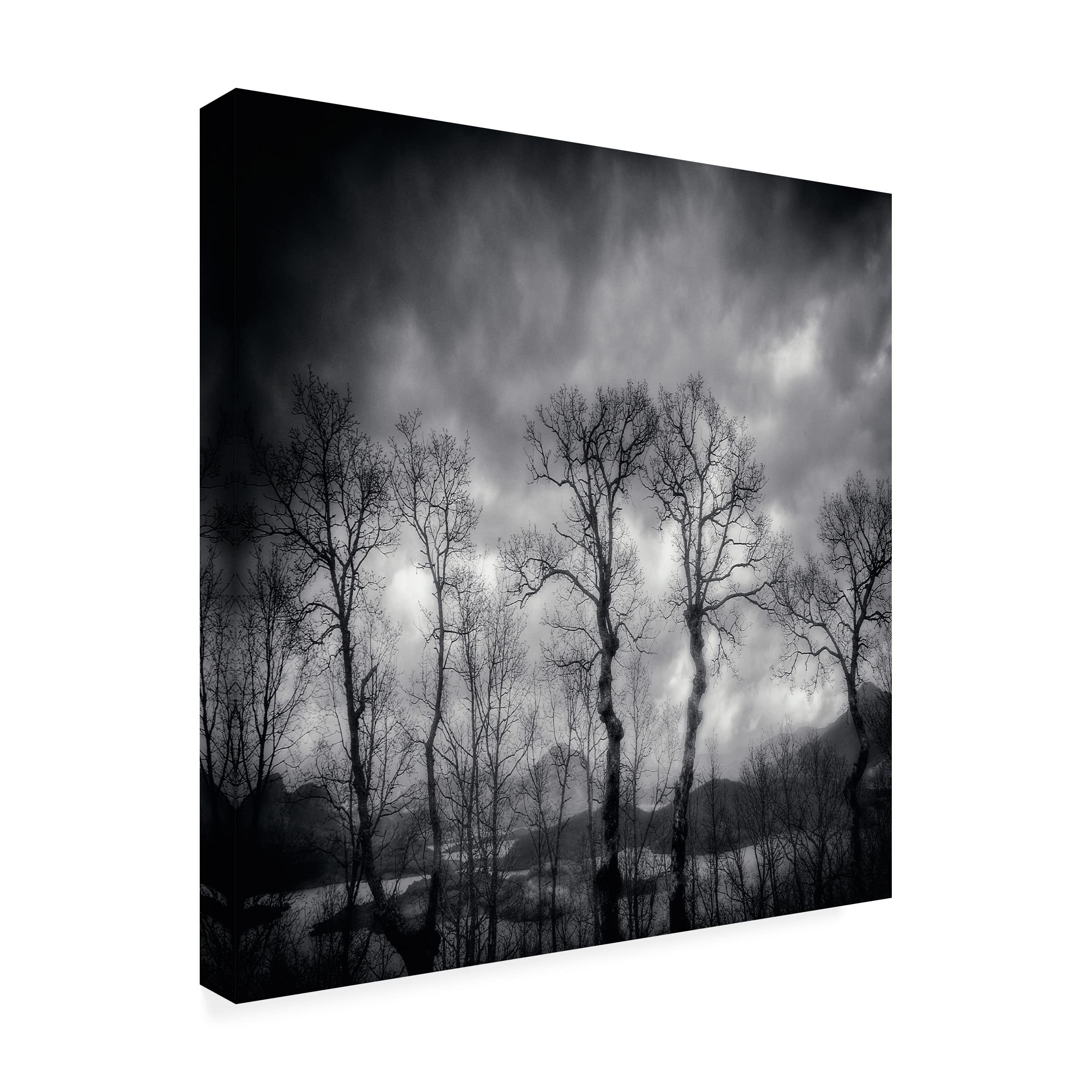 Txules 'Last Days' Canvas Art Print - Modern Wall Decor for Living Room, Bedroom & Office - Trademark Fine Art Collection