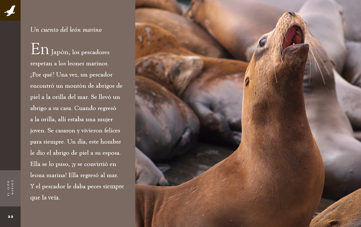 El Leon Marino Book 9781640266803 - Learn About Sea Lions | Perfect for Kids, Marine Life Enthusiasts & Classroom Learning