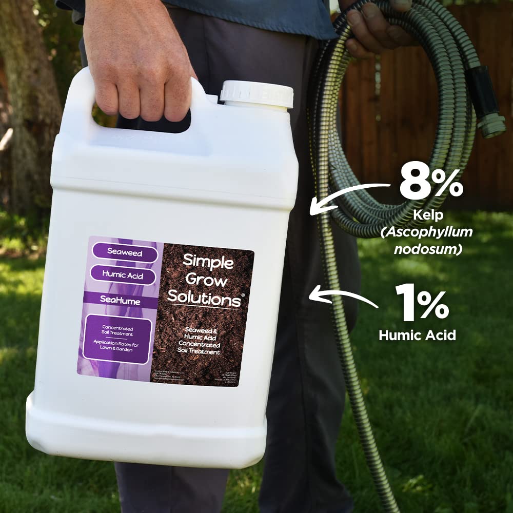 Organic Liquid Seaweed Fertilizer for Lawn & Plants - 8% Kelp Extract with Humic Acid - OMRI Certified Organic Plant Food Concentrate - Promotes Growth for Turf Grass, Gardens & Houseplants - Ideal for Spring Lawn Care & Soil Conditioning (2.5 Gallon)