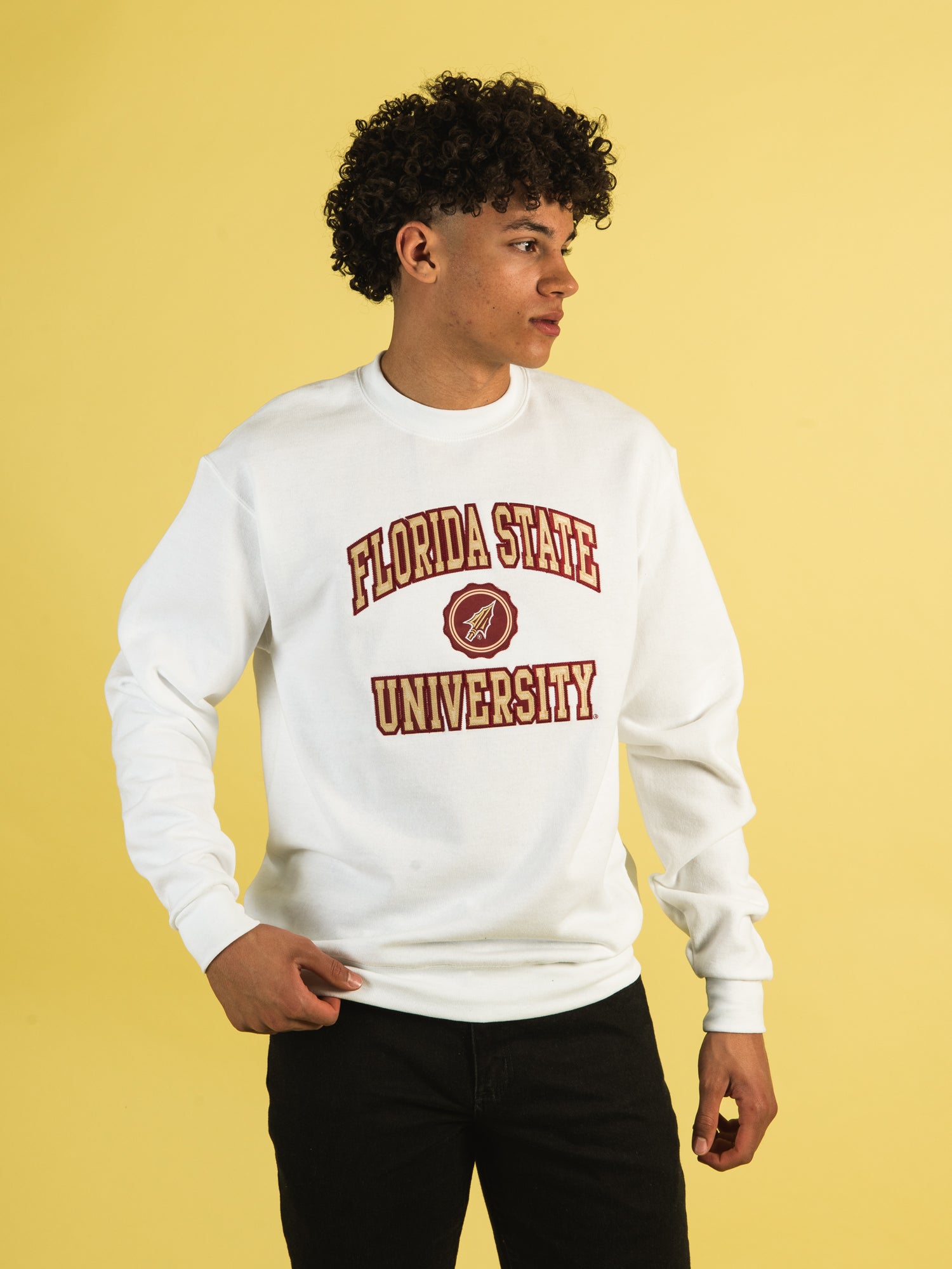 Champion Florida State Seminoles Crewneck Sweatshirt - Comfortable & Stylish for College Fans, Game Day, and Casual Wear
