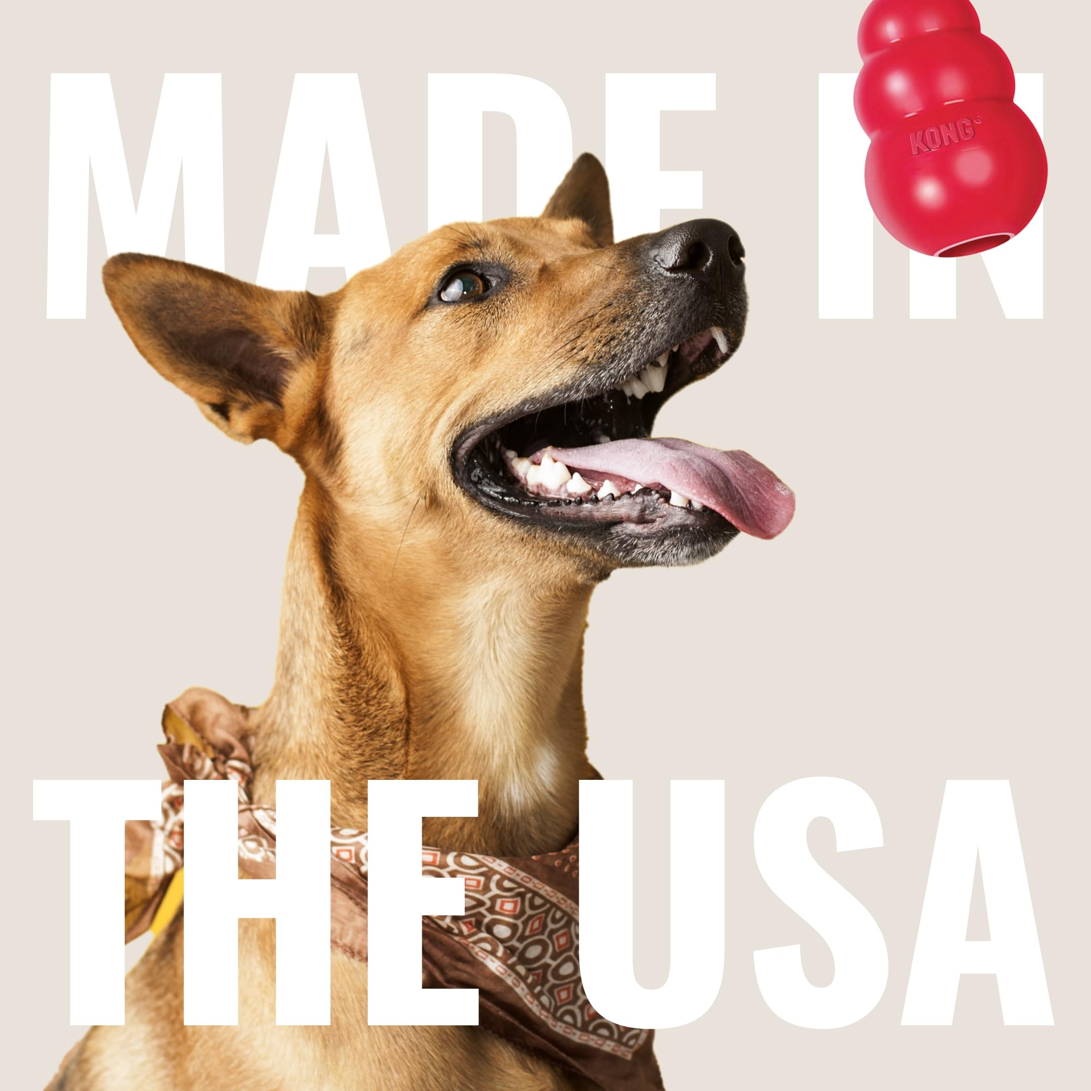 Durable KONG Dental Chew Toy with Rope for Medium Dogs - Natural Rubber Teething & Gum Cleaning Toy - Stuffable Interactive Dog Chew for Dental Care - Satisfies Chewing Instincts & Promotes Oral Health - Perfect for Playtime, Training Rewards and Anxiety Relief