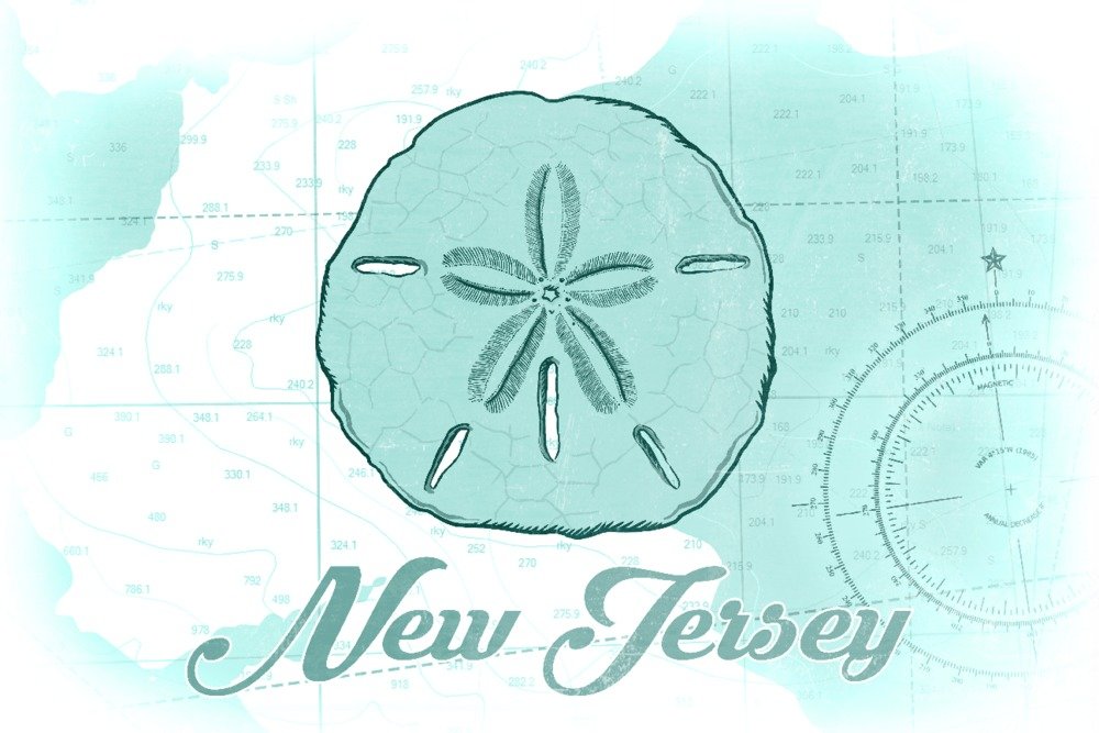 New Jersey Sand Dollar Teal Coastal Icon - 24x36 Gallery Quality Metal Wall Art, Aluminum Decor for Beach House, Coastal Living Room & Nautical Themed Spaces