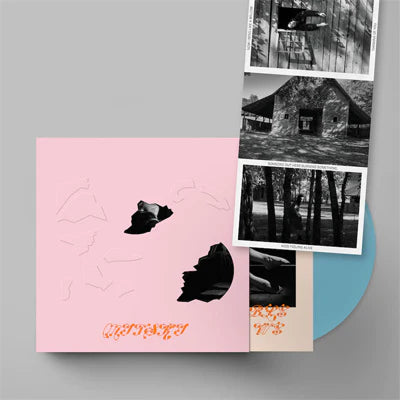 Mitski - The Land is Inhospitable and So Are We - Limited Edition Blue Vinyl Record with Die-Cut Sleeve - Perfect for Music Collectors & Vinyl Enthusiasts - Home Decor & Gift Idea