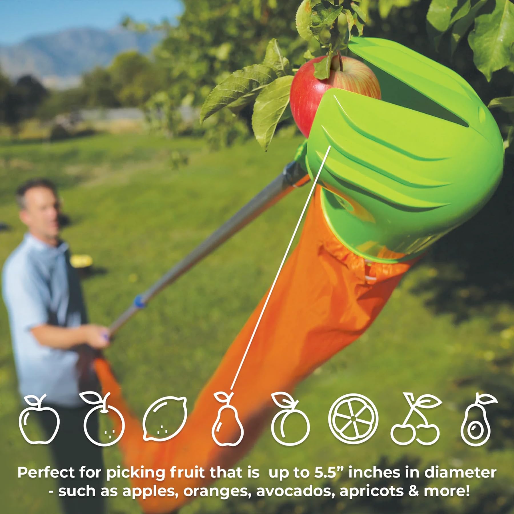 Easy Pickins EP-FH-1 Fruit Picker Basket with Funnel - Lightweight Harvesting Tool for Apples, Pears, Oranges - Perfect for Home Garden, Orchard, and Backyard Fruit Picking (Green)