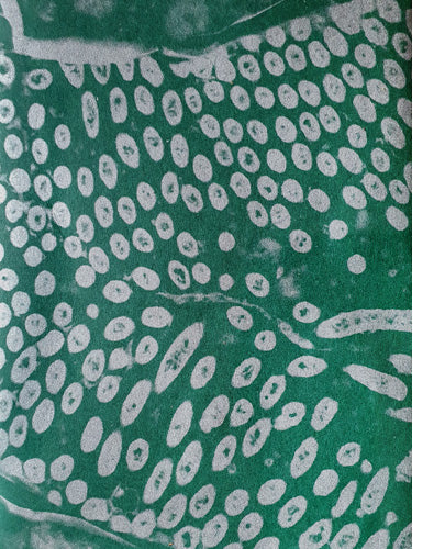 Fastidiosa by Jean Marc Caimi & Valentina Piccinni - First Edition Collectible Book | Perfect for Art Lovers, Photography Enthusiasts & Rare Book Collectors