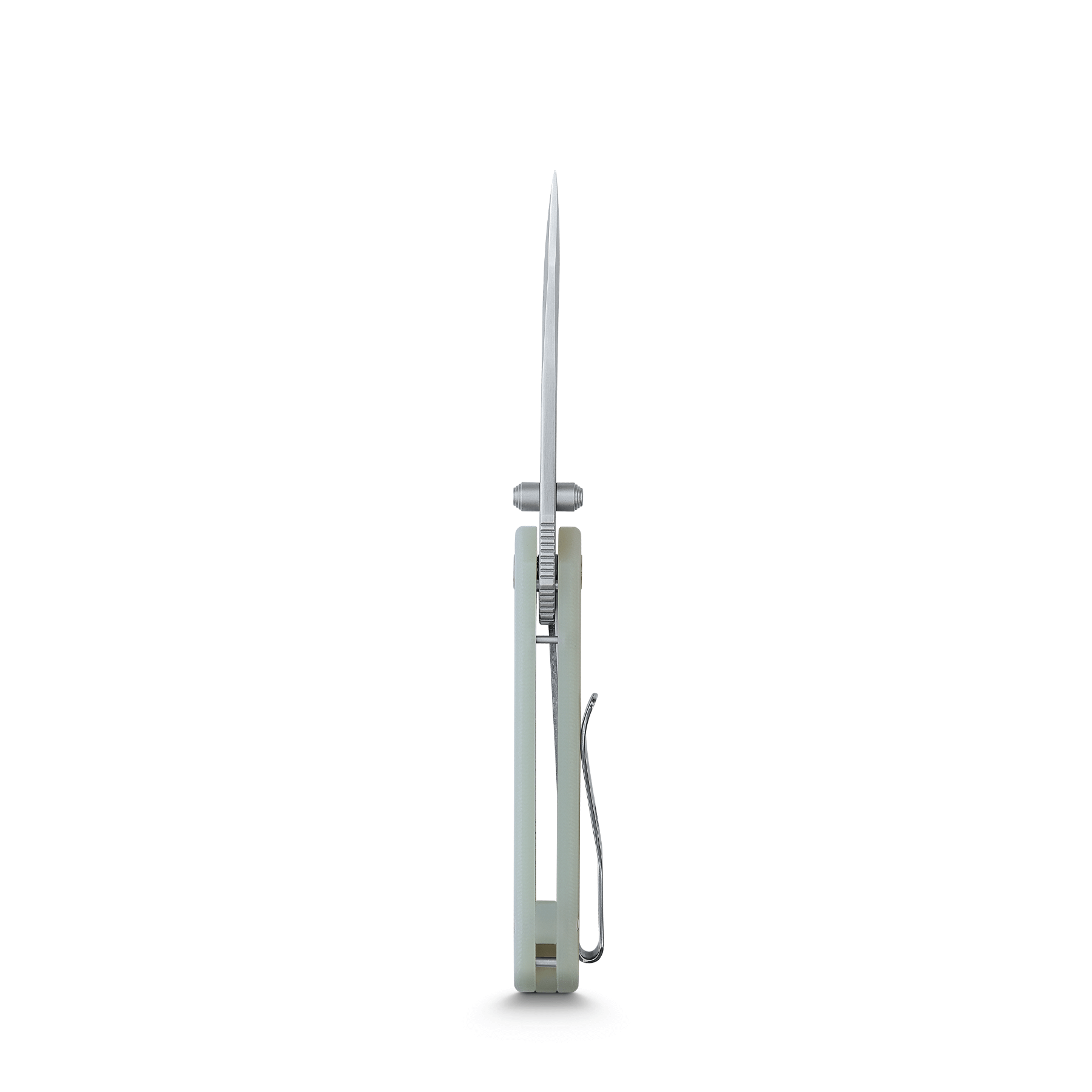 Premium Chipmunk Liner Lock Folding Knife - 2.64
