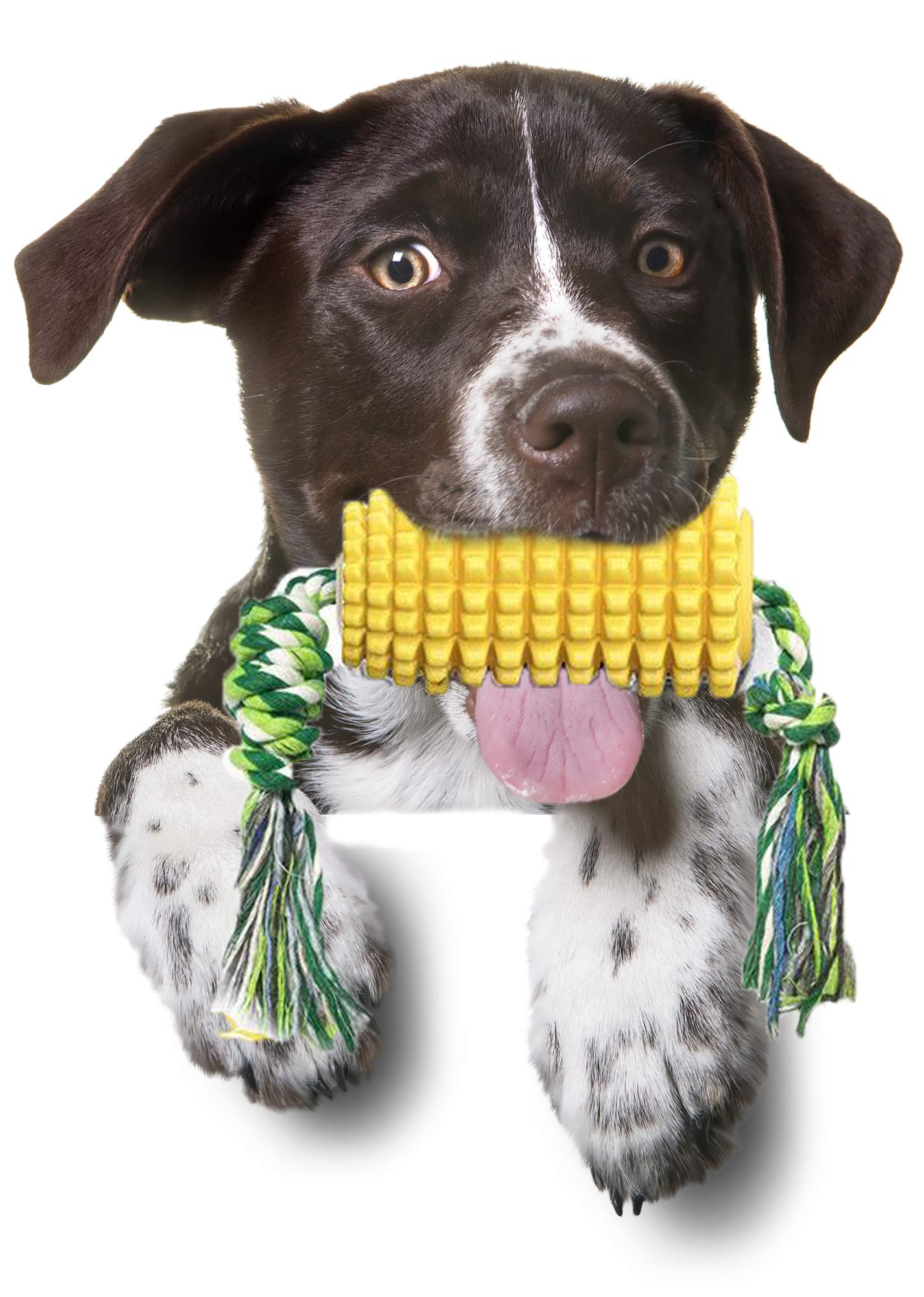 Durable Dog Chew Toys for Aggressive Chewers - Puppy Teething & Dental Cleaning Rope Toys for Small, Medium & Large Breed Dogs - Perfect for Playtime, Training & Oral Health Care