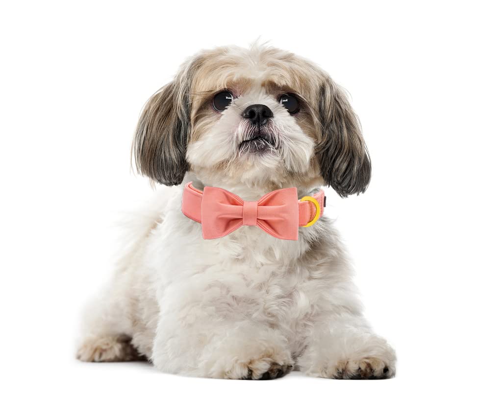**Maca Bates Adjustable Breakaway Dog Collar with Bow Tie - Pink Solid Color Pet Collar with Golden Metal Buckle for Small, Medium, Large & XL Dogs - Perfect for Birthdays, Parties & Daily Walks**