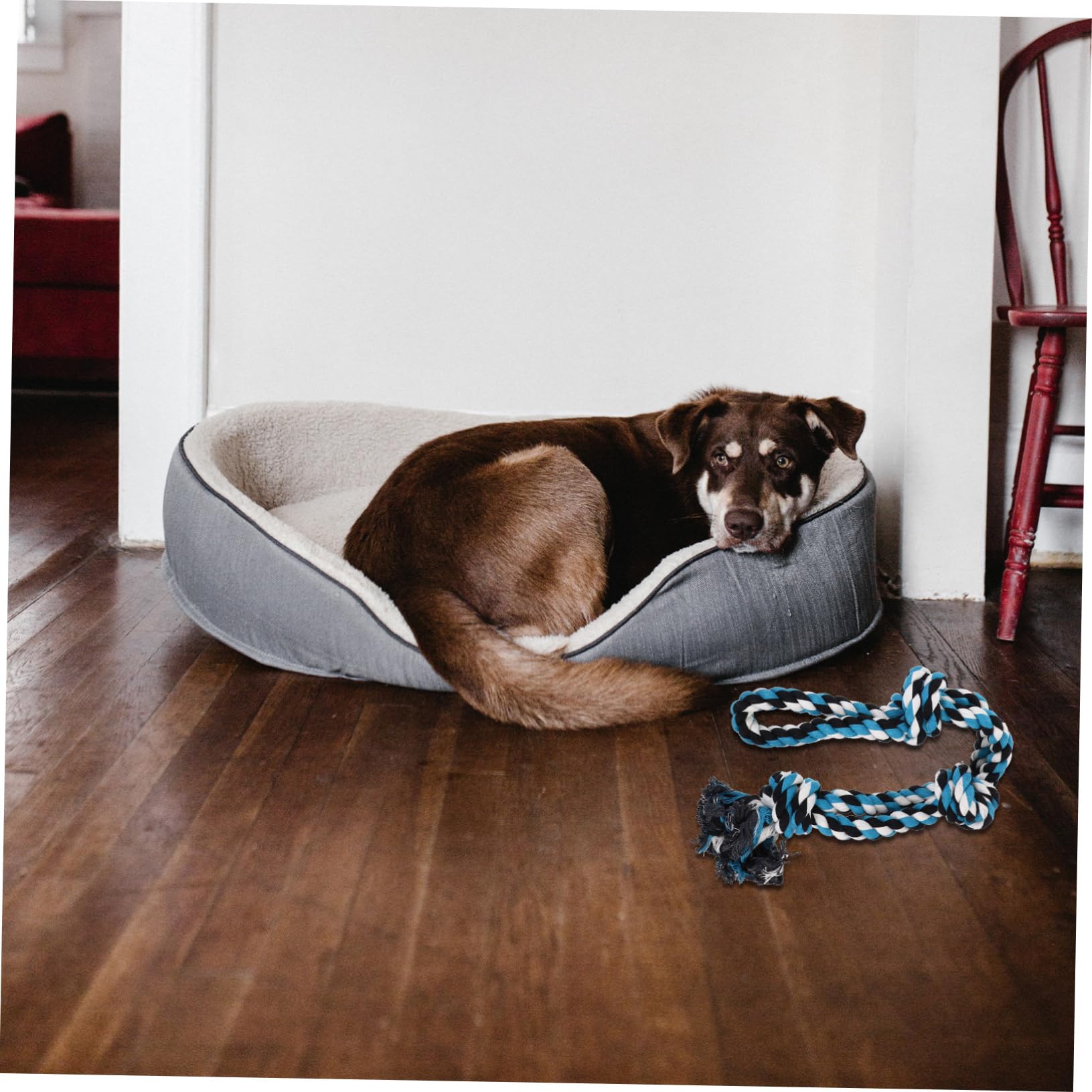 Hemp Spring Pole for Dogs - Durable Pet Spring Pole Rope Toy for Large & Small Dogs - Outdoor Dog Exercise Equipment for Backyard Training & Play