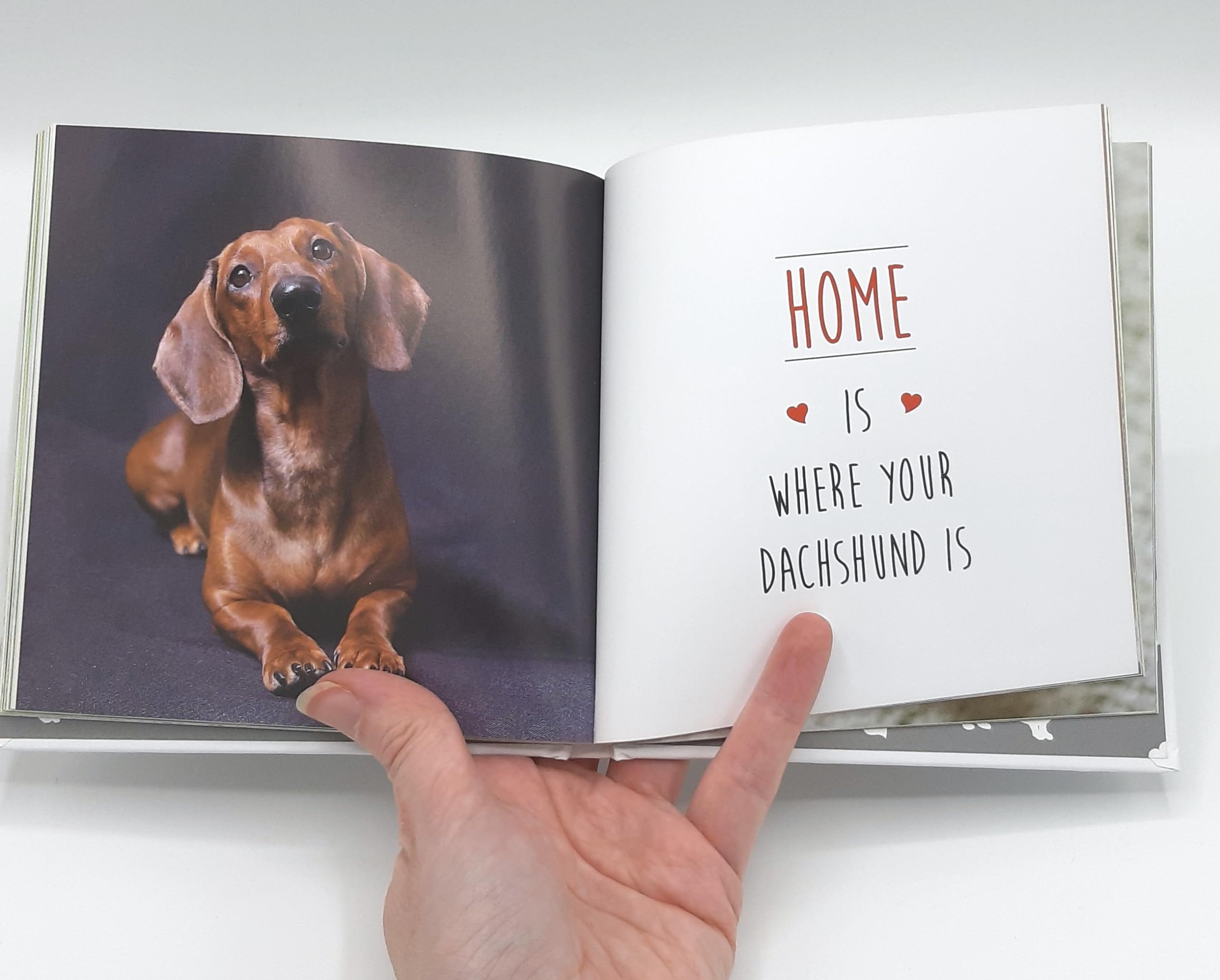 Adorable Dachshund Love Themed Gifts - Perfect for Valentine's Day, Anniversaries & Dog Lovers