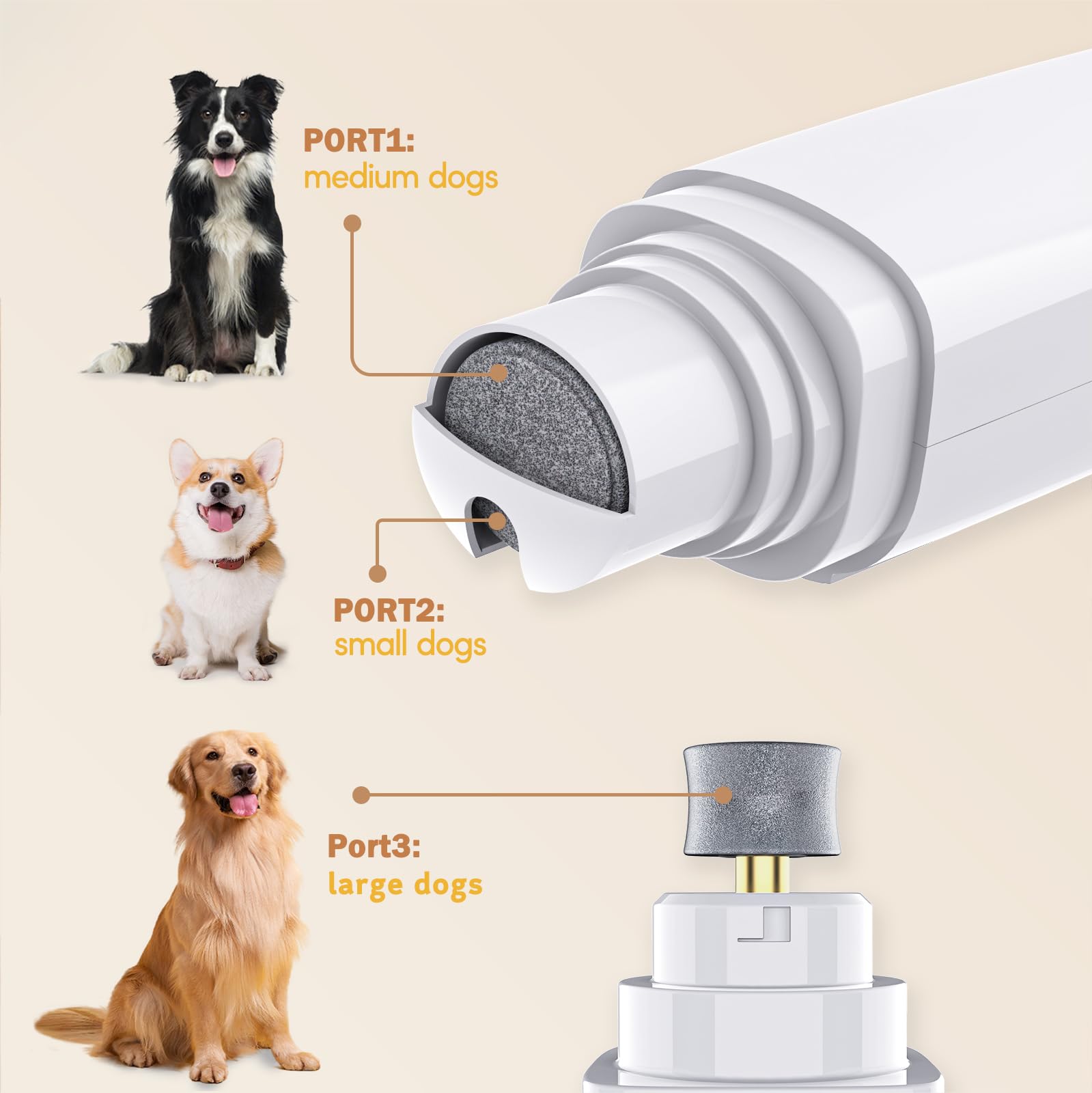 **Professional Dog Nail Grinder & Paw Trimmer – 2-Speed Quiet Pet Nail Grinder for Dogs & Cats – Safe & Efficient Grooming Kit for Eyes, Ears & Feet – Perfect for Home Pet Care & Stress-Free Nail Trimming**