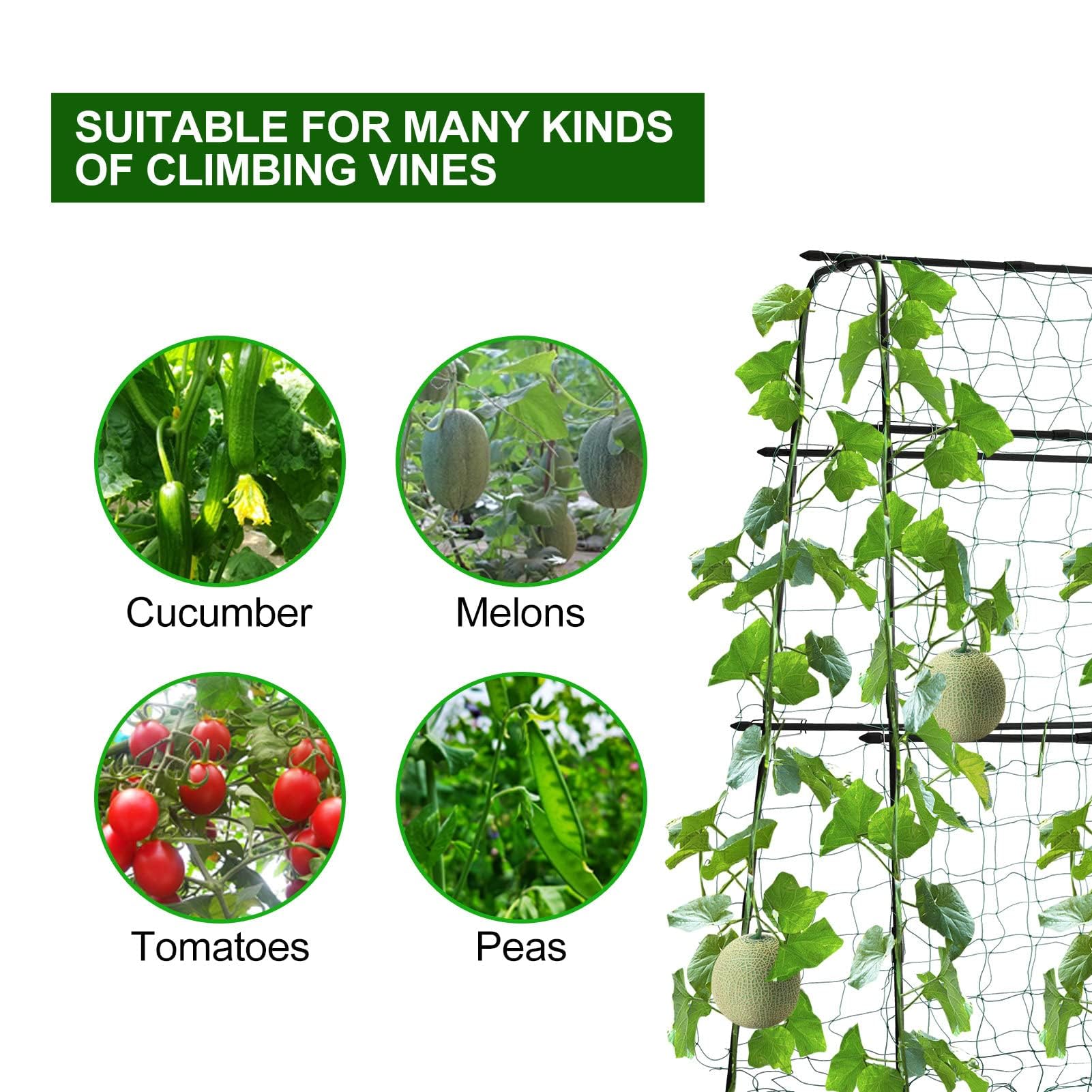 5ft Tall Black Metal Garden Cucumber Trellis - A-Frame Arch Plant Support for Climbing Plants, Tomatoes, Grapes, Squash & Vegetables - Perfect for Outdoor Raised Beds & Vertical Gardening