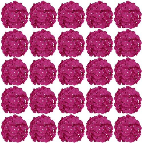 Deep Rose